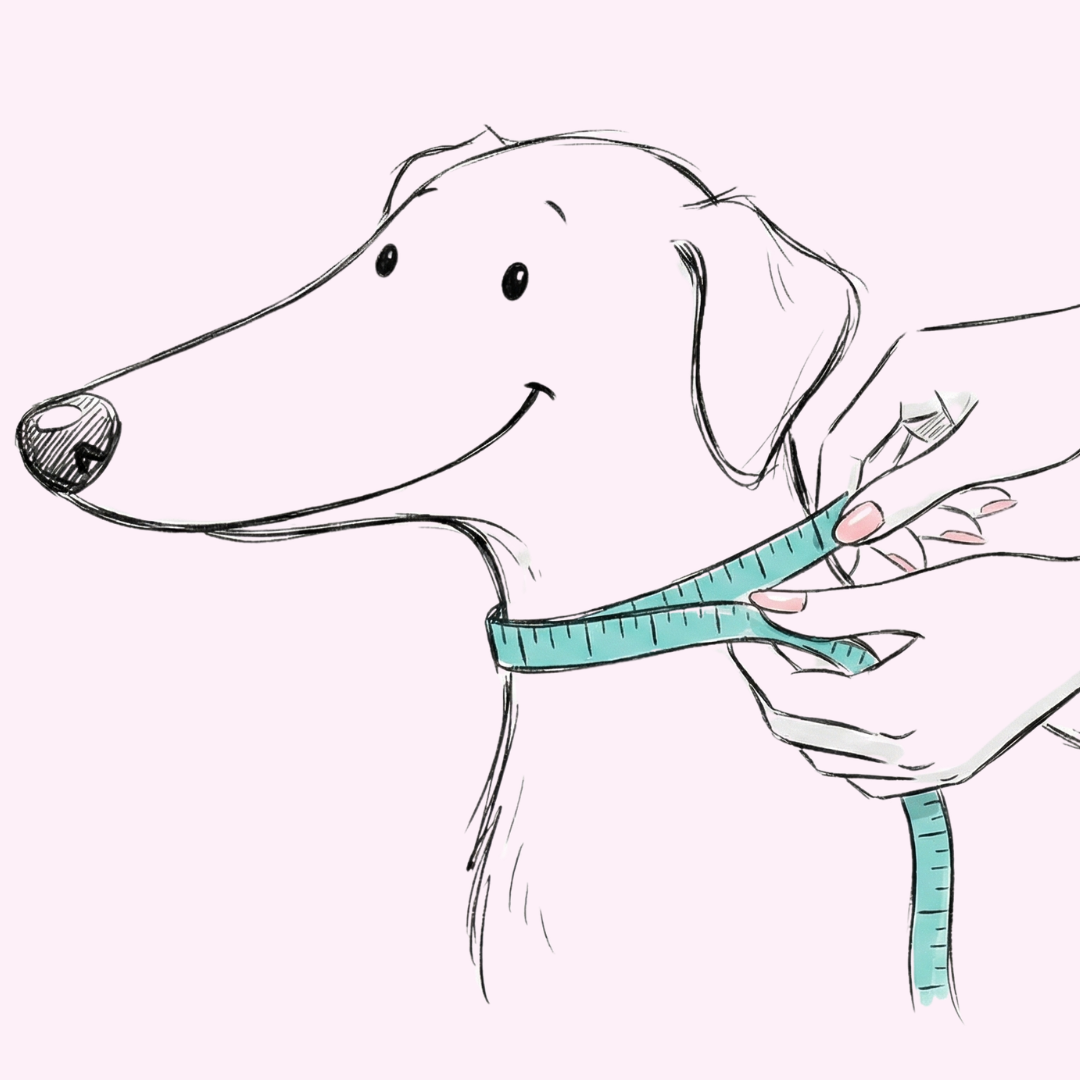 Welke maat heeft mijn hond? (En waarom je NOOIT de oude halsband moet meten!)