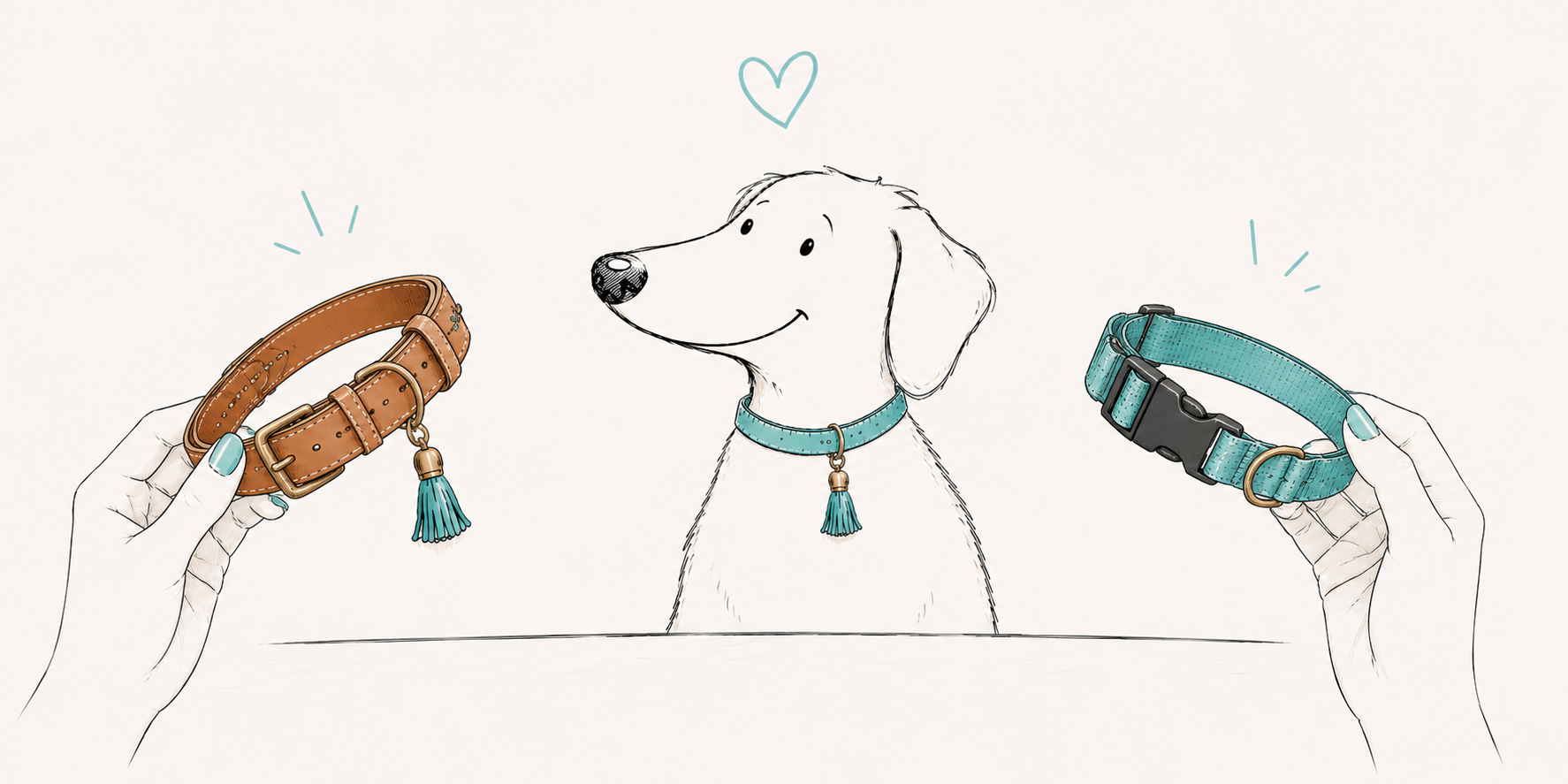 Comparing a leather dog collar and a nylon dog collar