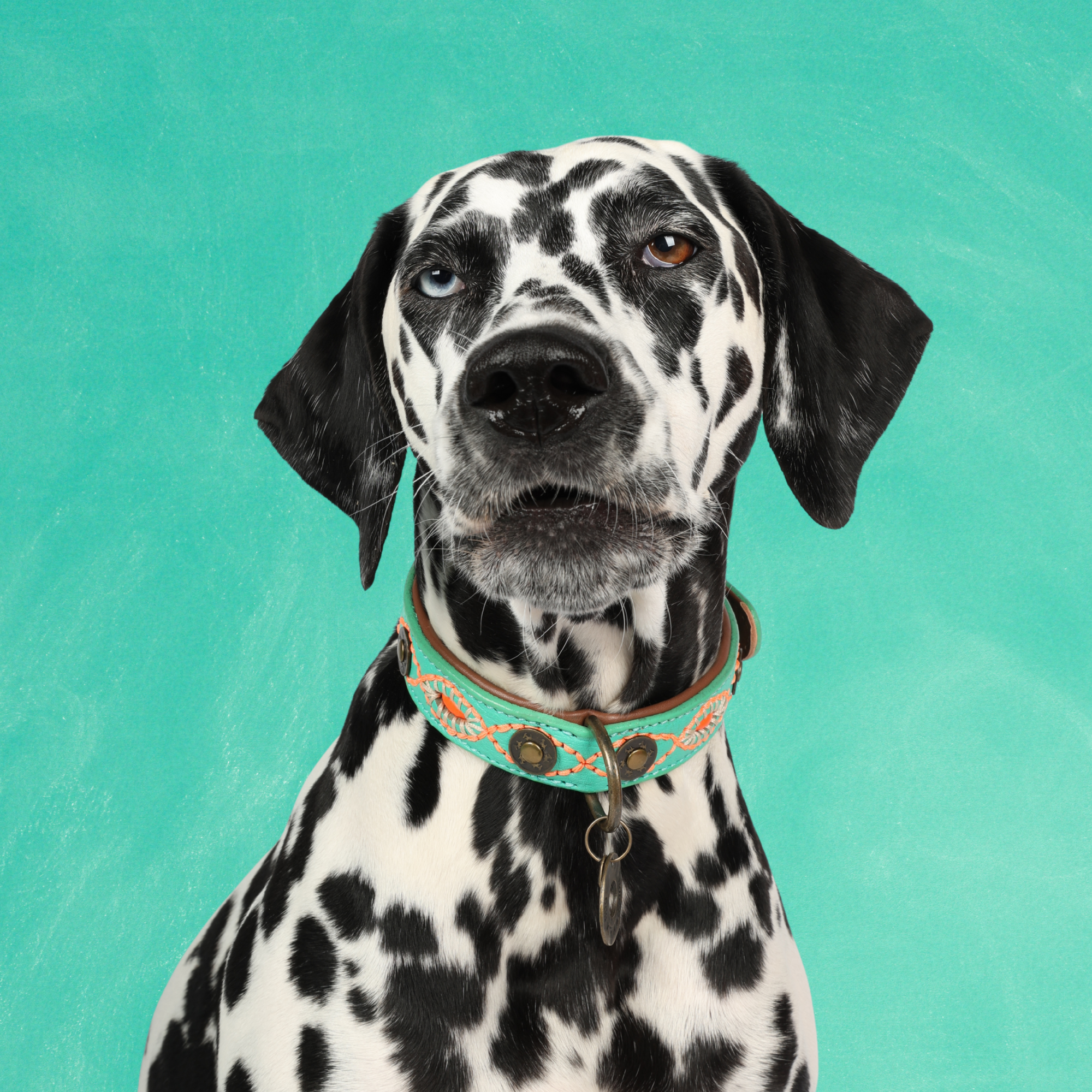 B2C - M - HALSOMVANG 29-39 CM