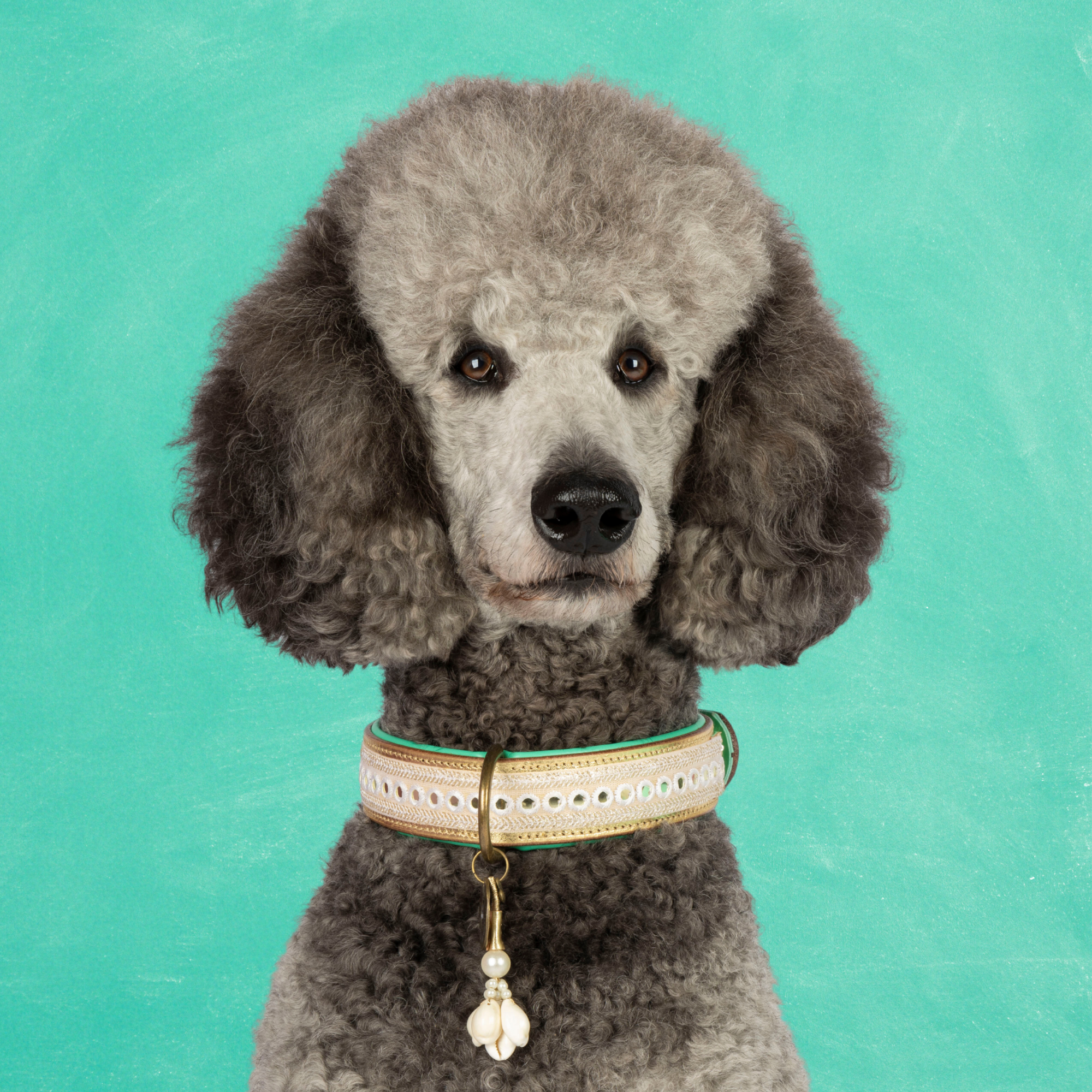 Love Story Hondenhalsband L (Halsomvang 38-47 cm / 4 cm)