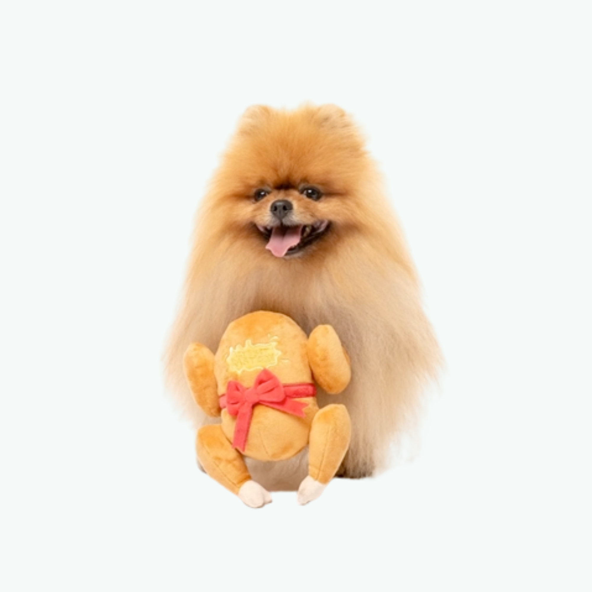 Dog Toy - Let's Get Basted Roast S