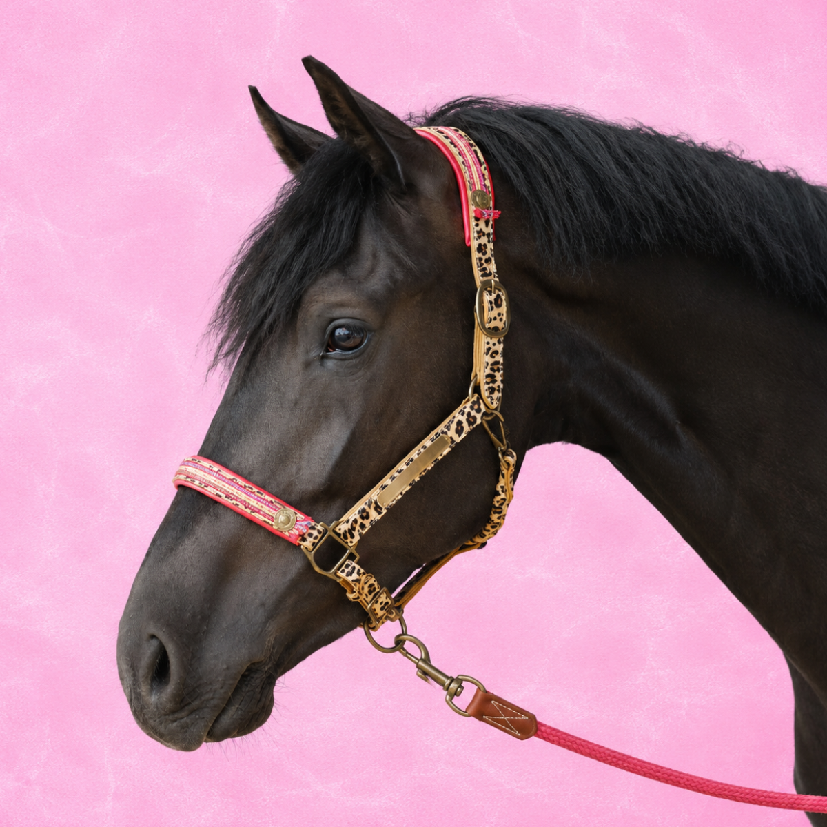 Gypsy Paardenhalster - Cob