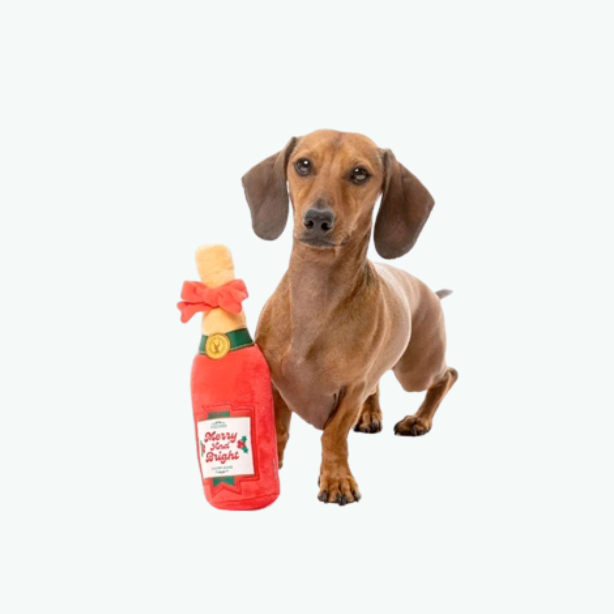 Dog Toy - Merry & Bright Chomp-Agne
