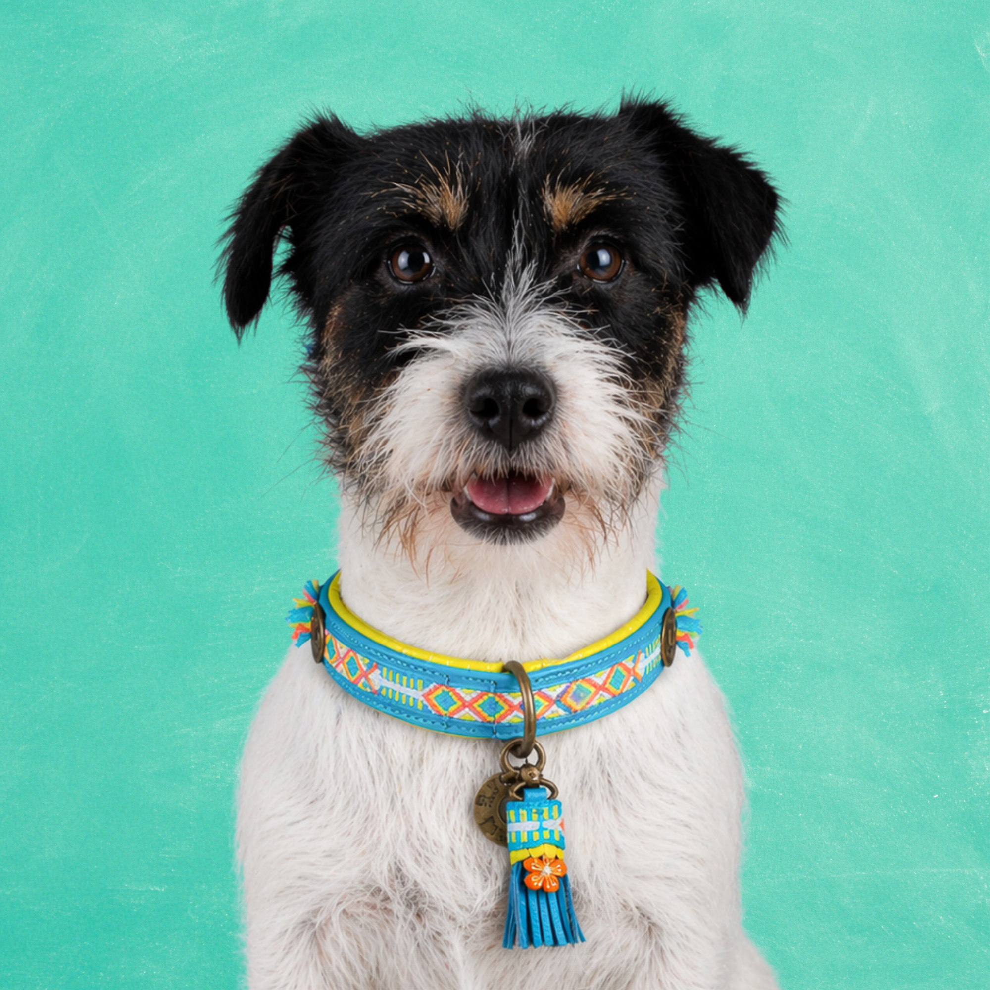 Aloha Hondenhalsband S (Halsomvang 30-33 cm / 2,5 cm)