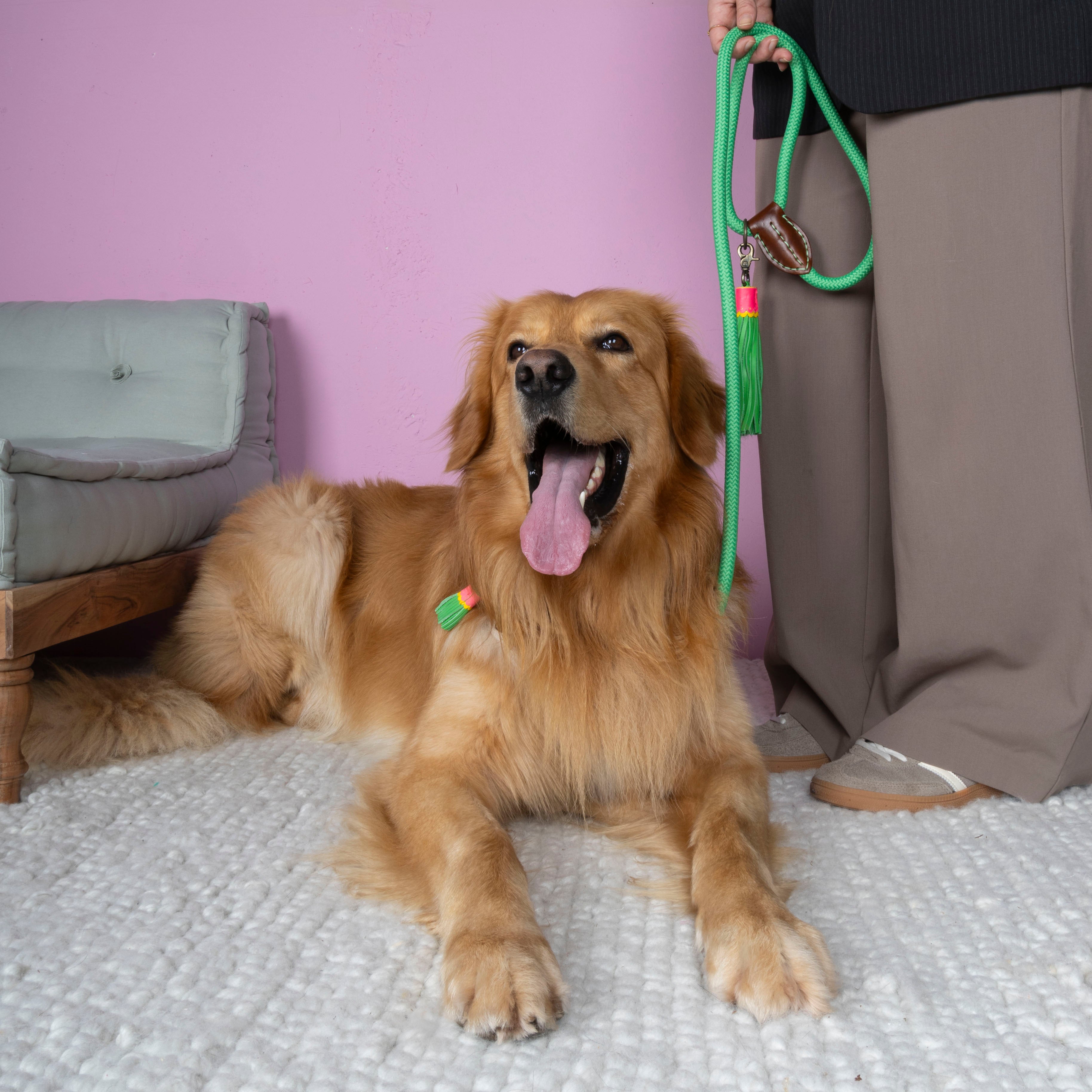 Classic Apple Pie Hondenriem L (155 cm X 1,4 cm)