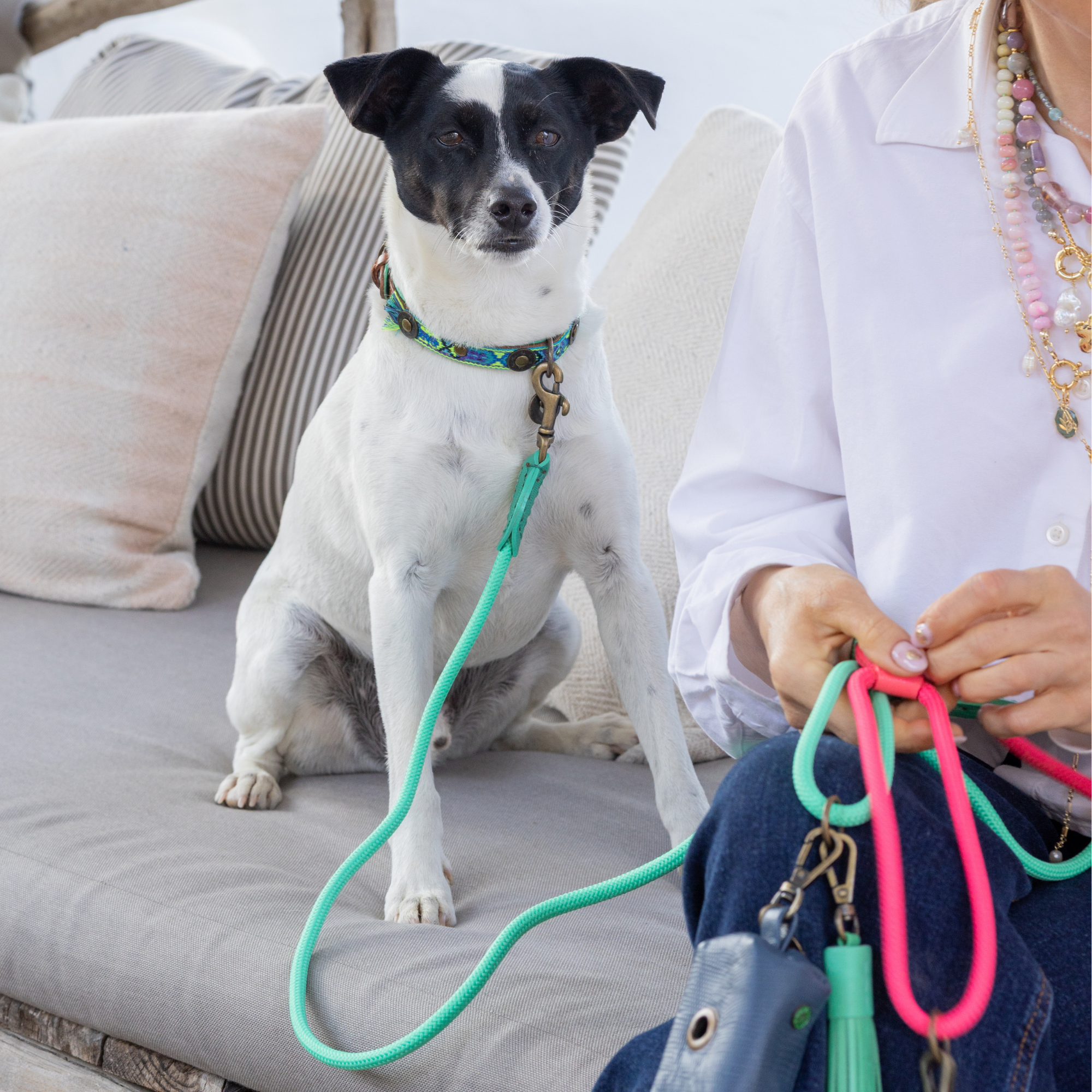 Boho Juan Dog Collar S (Neck Size 30-33 cm / 2,5 cm)