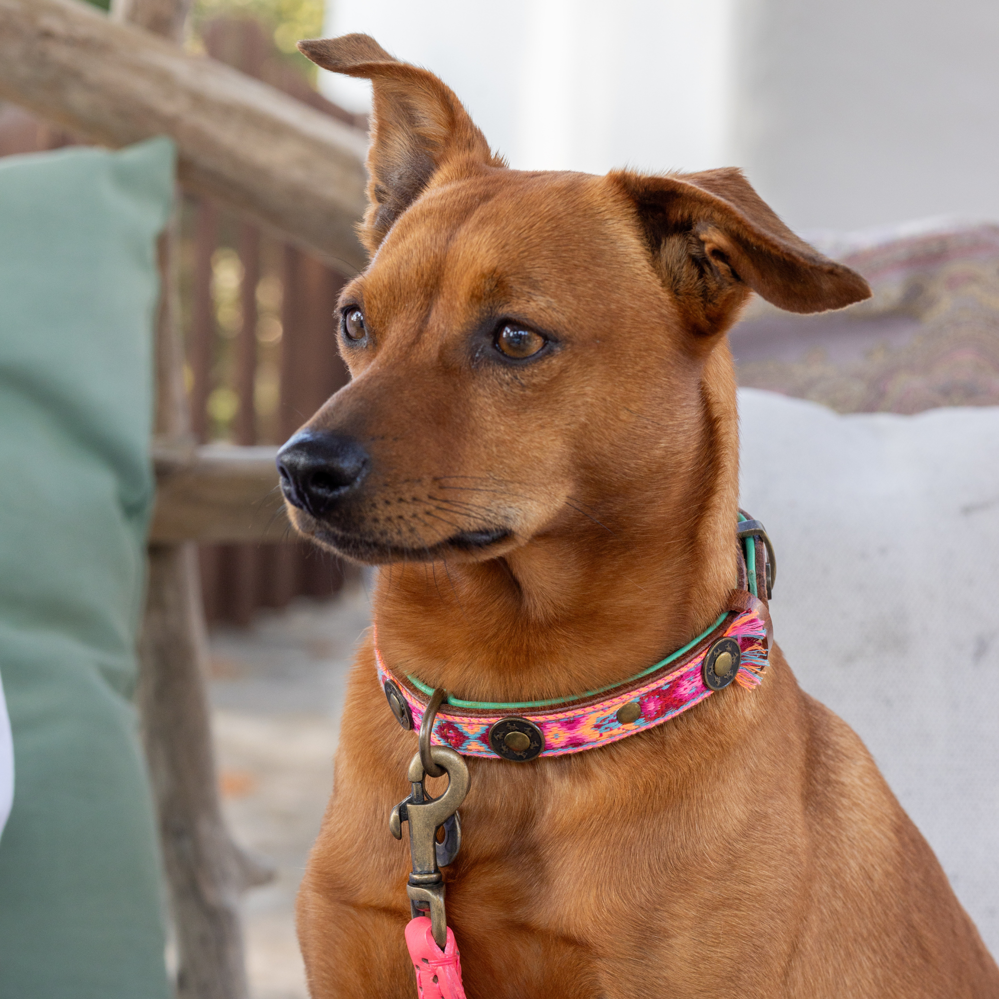 Boho Rosa Dog Collar S (Neck Size 30-33 cm / 2,5 cm)