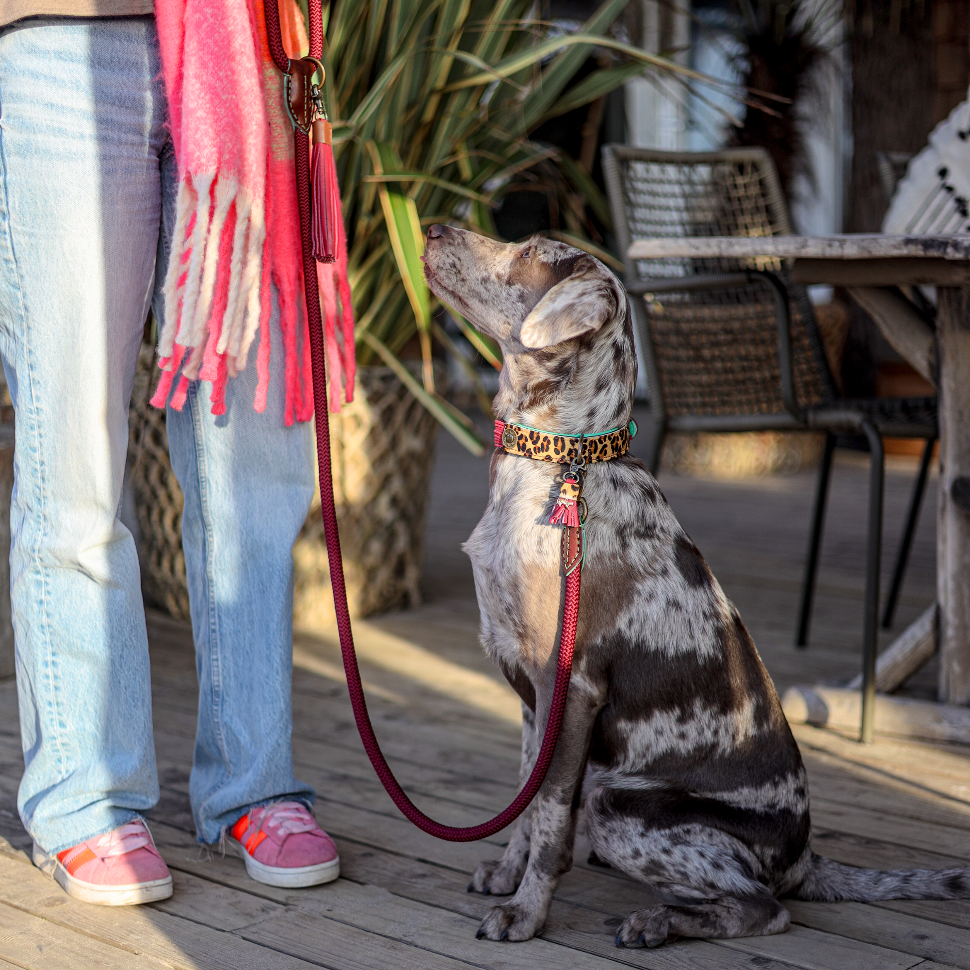 Classic Bonnie Hondenriem L (155 cm X 1,4 cm)