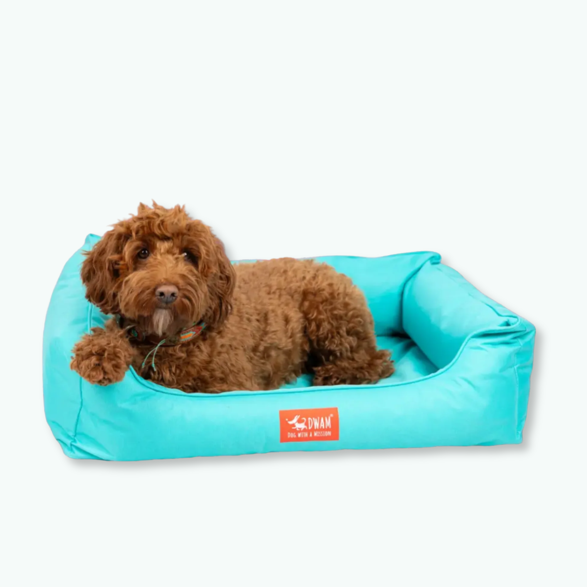 Booster Hondenmand Aqua L 24 X 100 X 74 cm