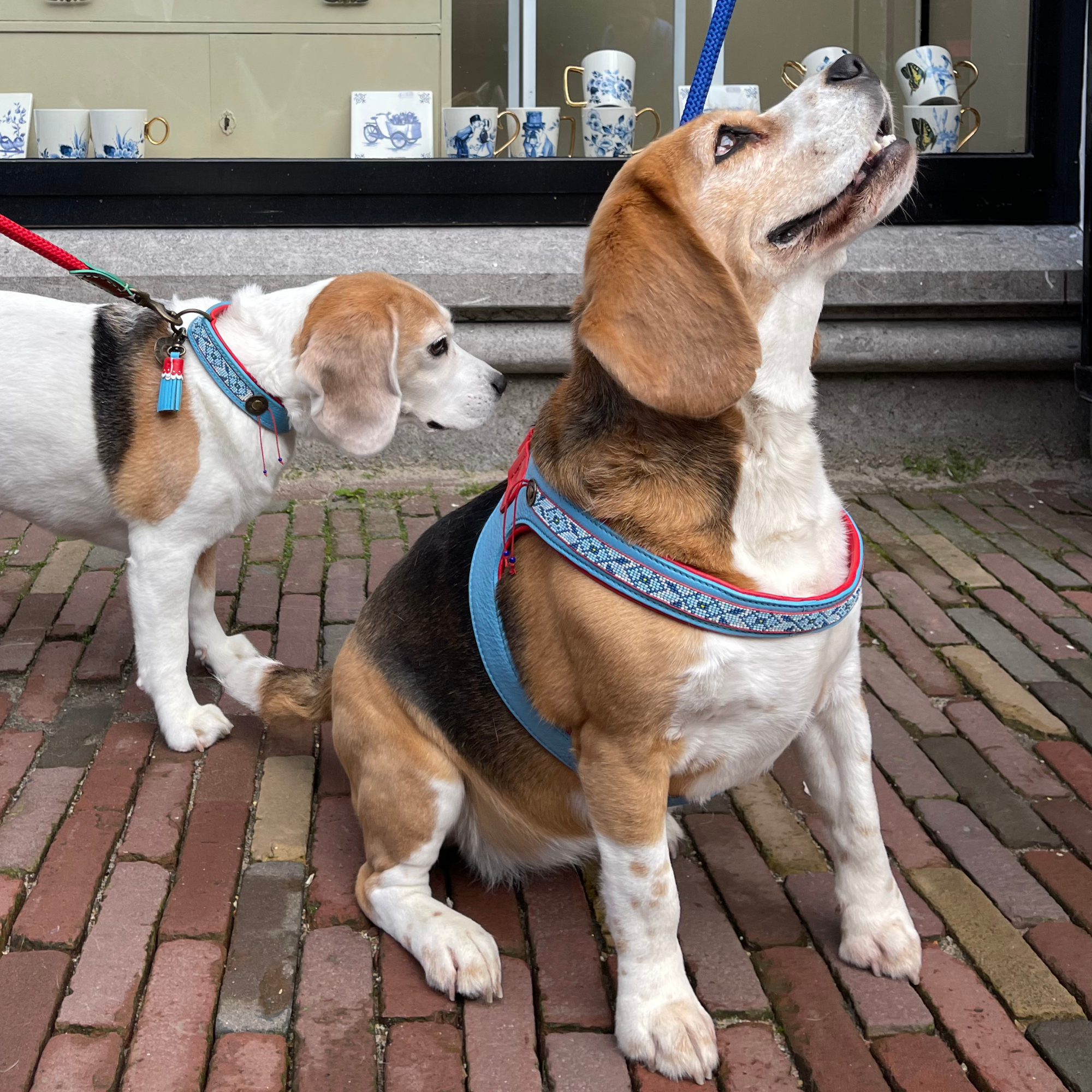 Dutchie Hundegeschirr Größe 7 (50-60 cm)