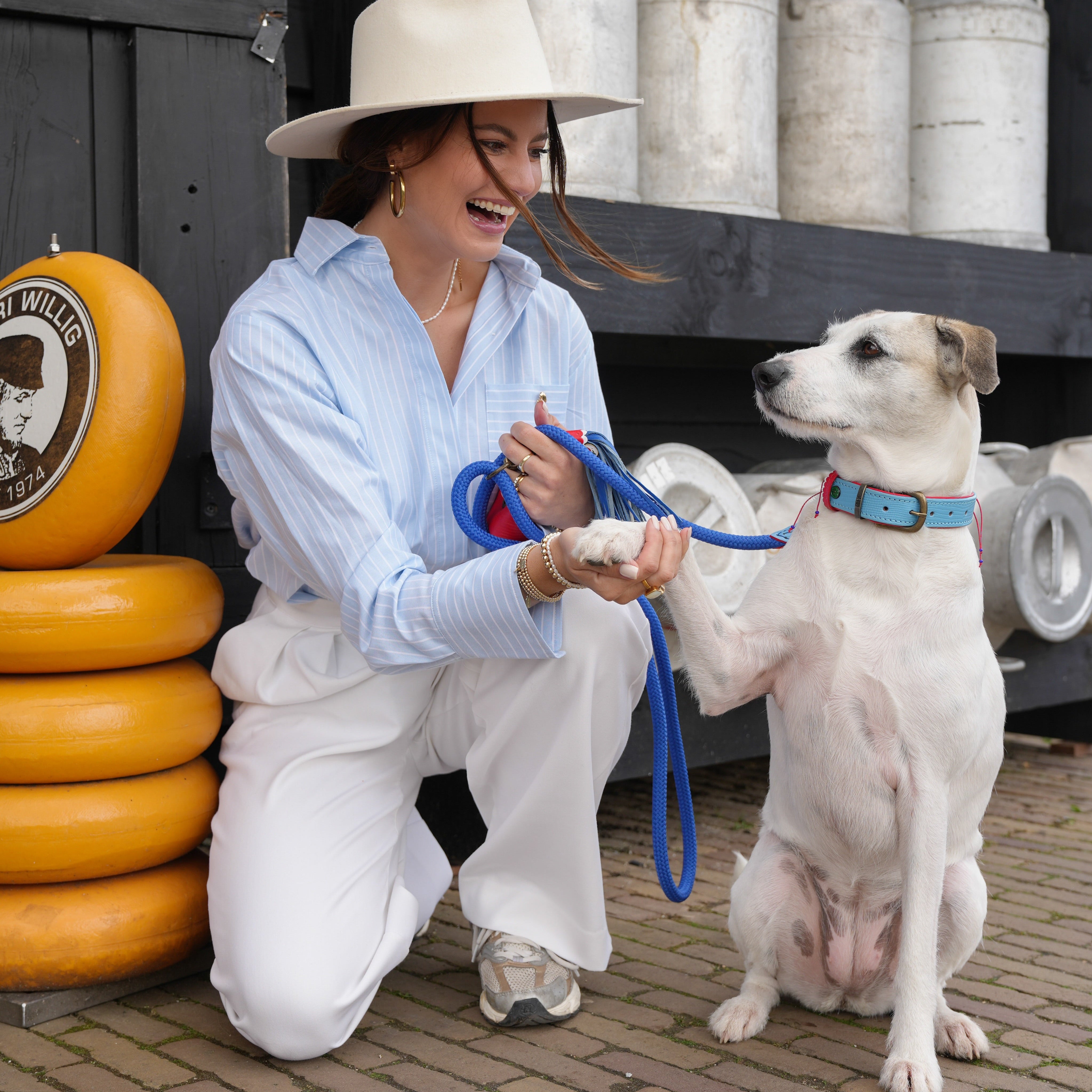 Dutchie Hundeleine L (165 cm X 1,4 cm)