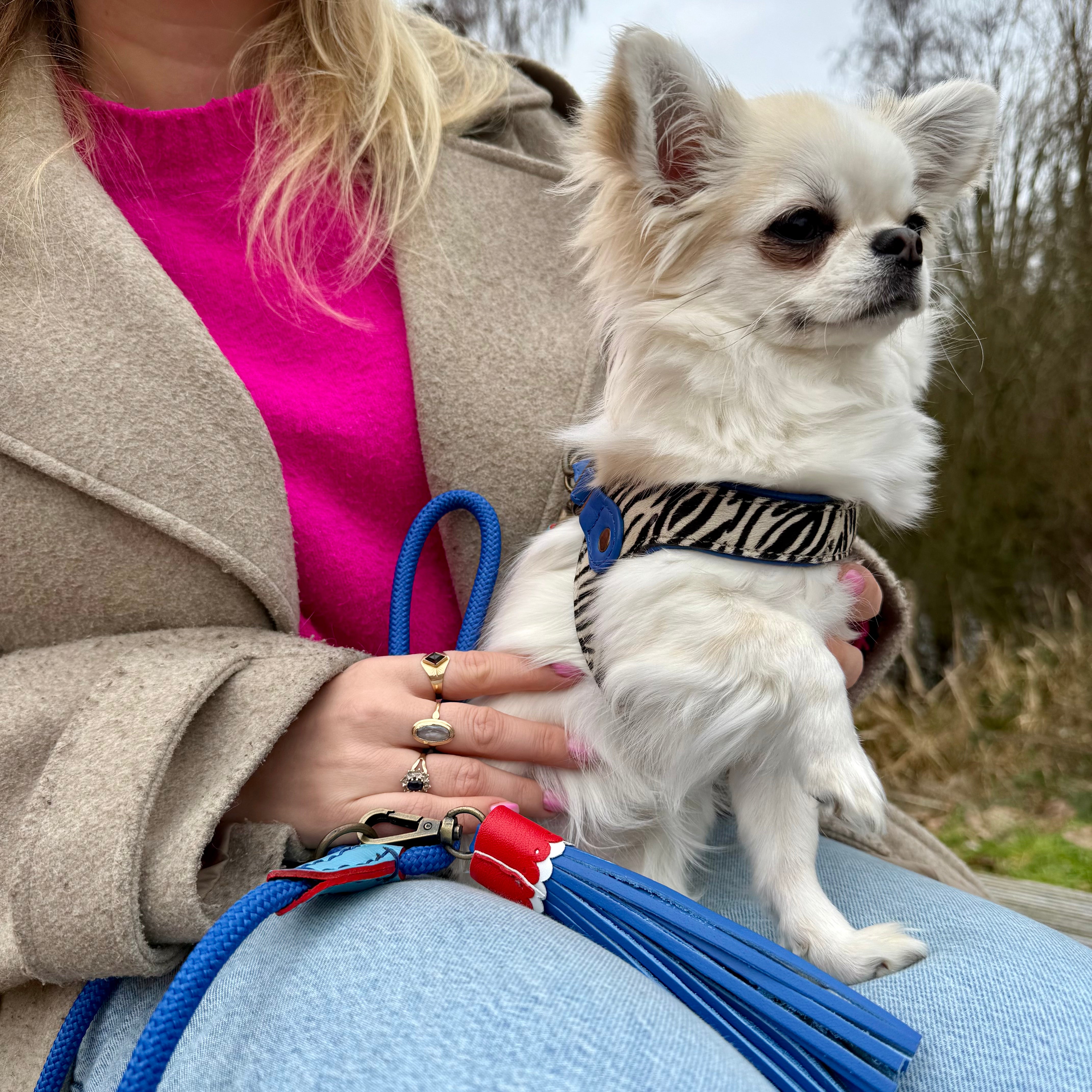 Dandy Hundegeschirr Größe 2 (28-31 cm)