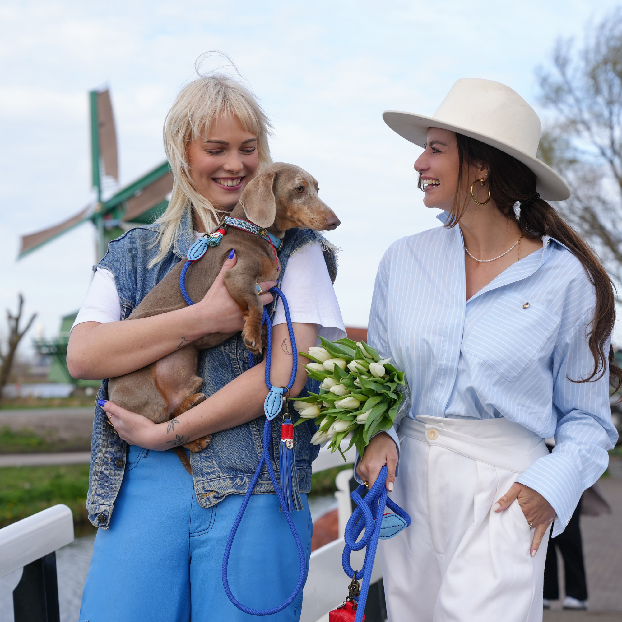 Dutchie Hundehalsband S (Halsumfang 27-33 cm / 2,5 cm)