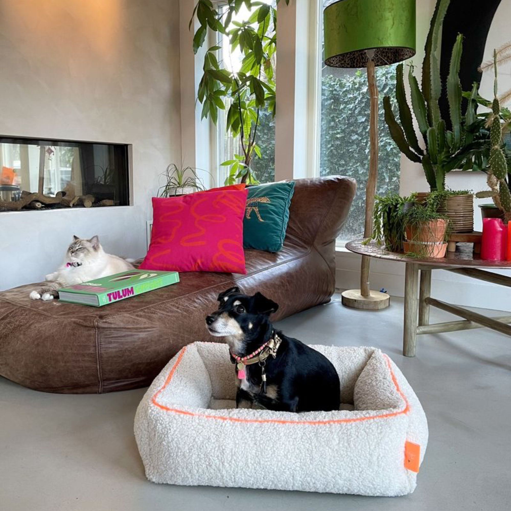 Ibiza Dream Hundebett L (90 X 105 cm)