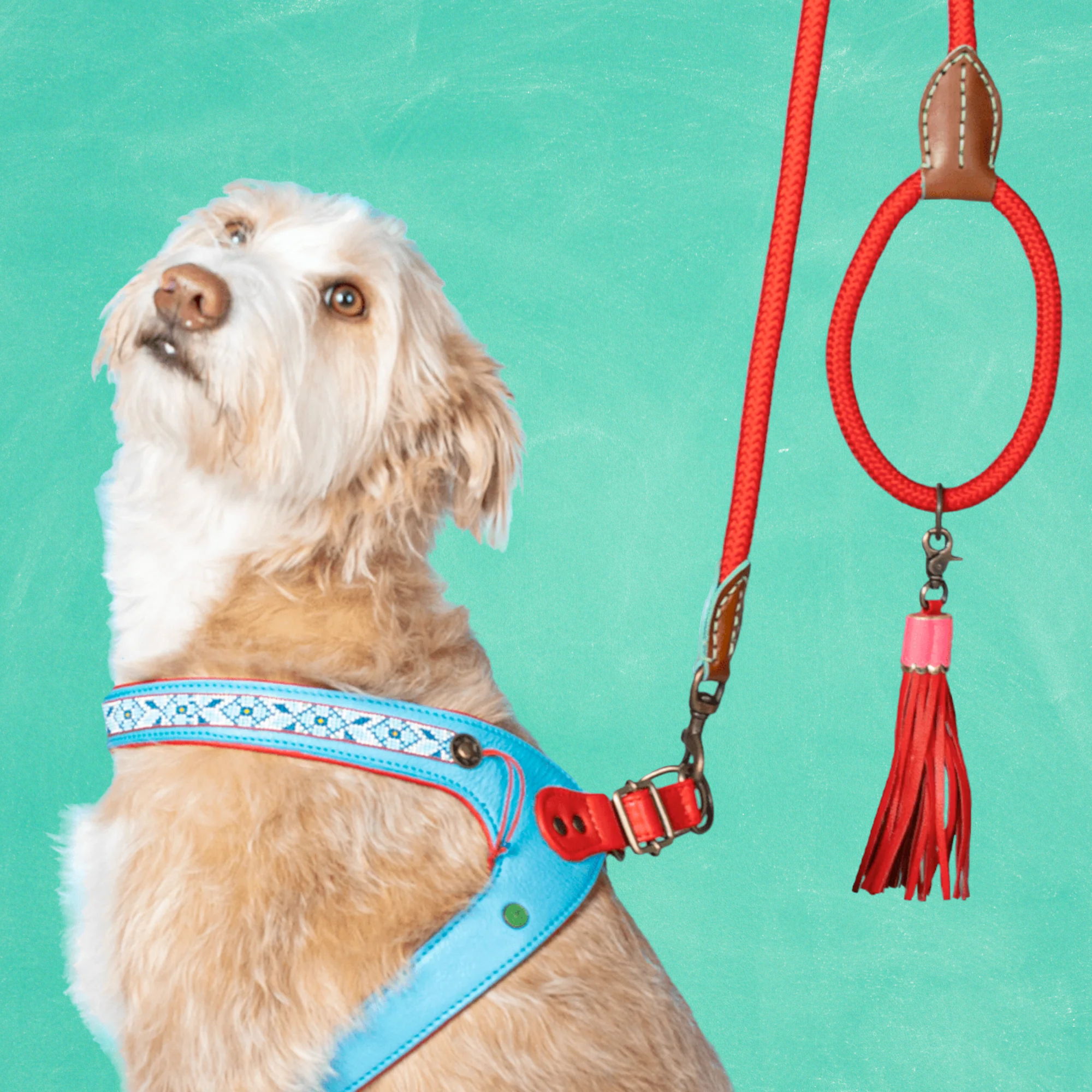 Dutchie Hondentuigje Maat 7 (55-59 cm)