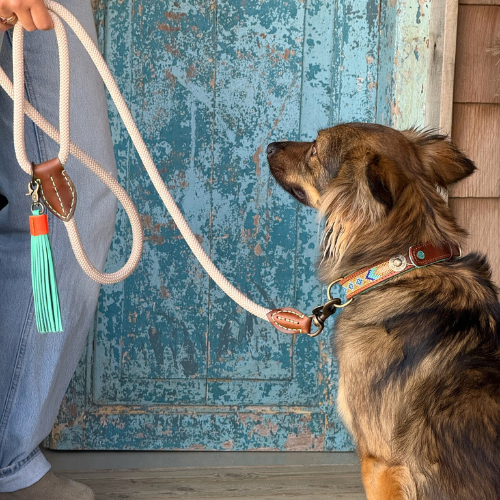 Middelgrote hond aan de zandkleurige DWAM hondenriem; een verstelbare touwriem van 2,20 meter (maat L) met een opvallende turquoise tassel en luxe messing haken.