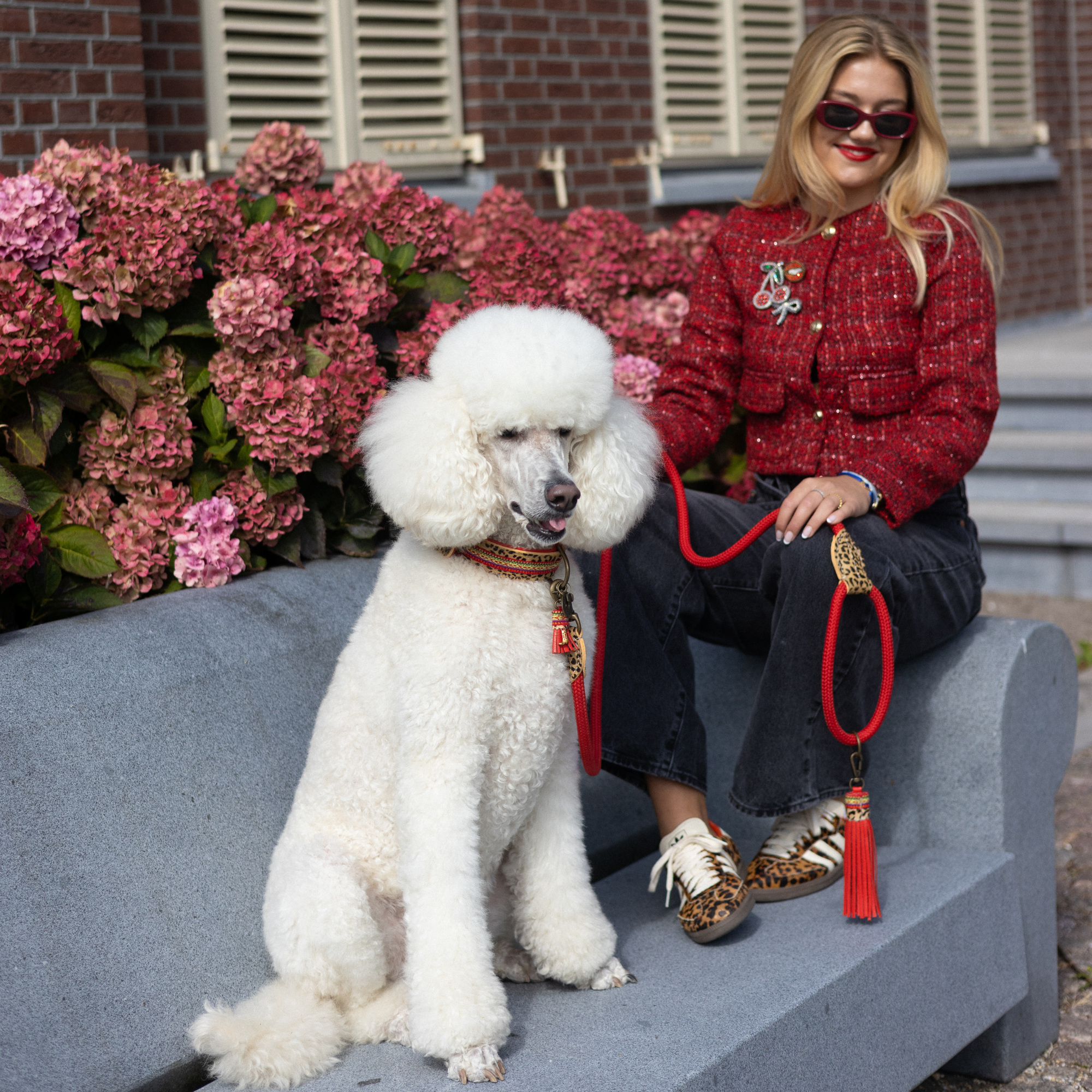 Gypsy Dog Collar XL (Neck size 47-57 cm / 4 cm)