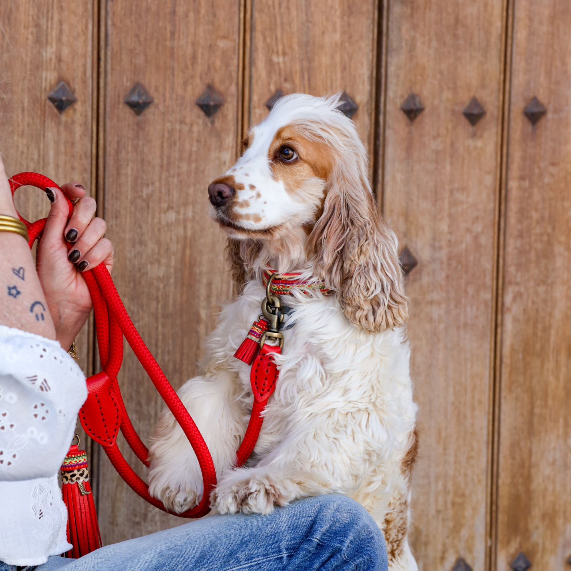 Gypsy Dog Collar S (Neck size 27-33 cm / 2,5 cm)