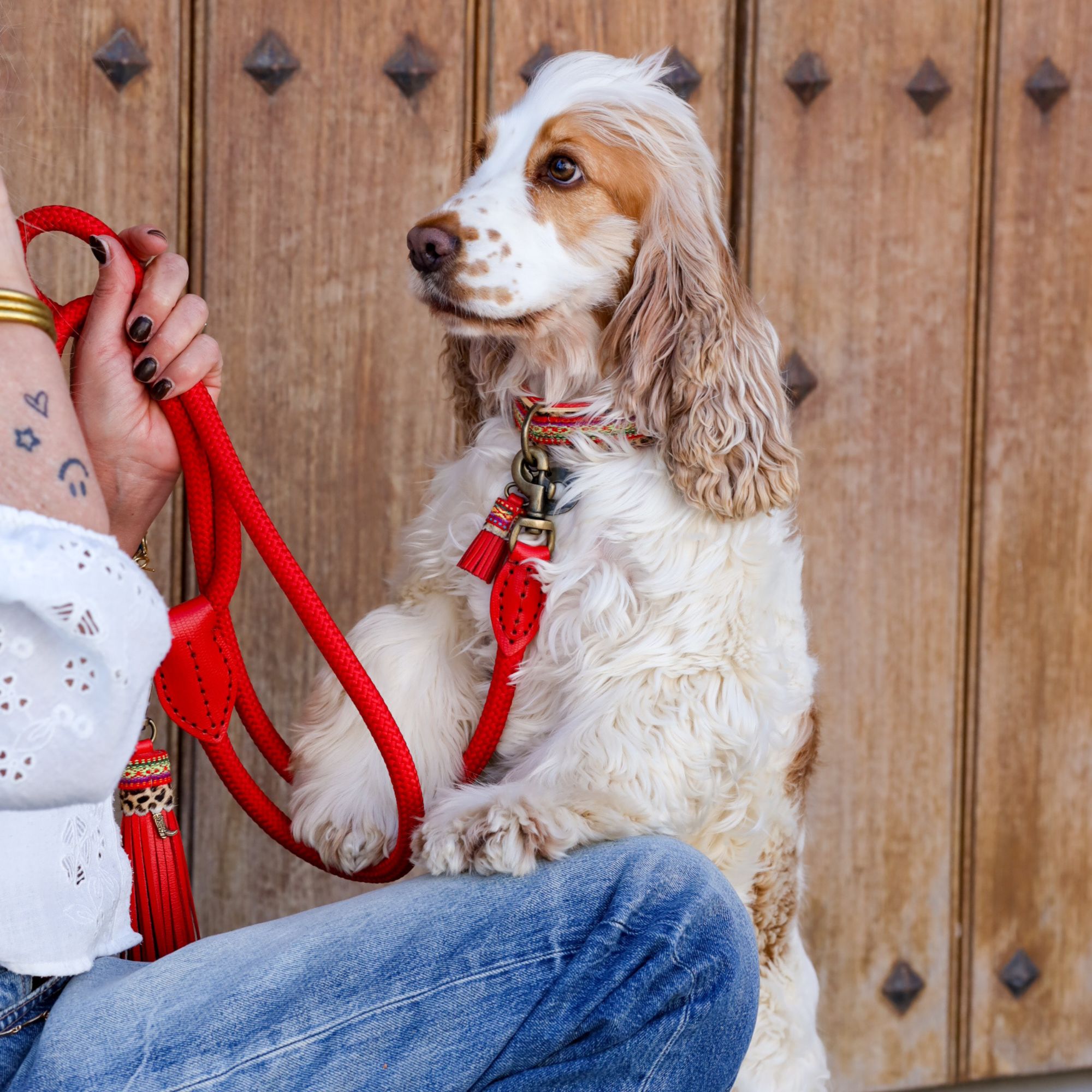 Gypsy Grote Kwast Hondenriem