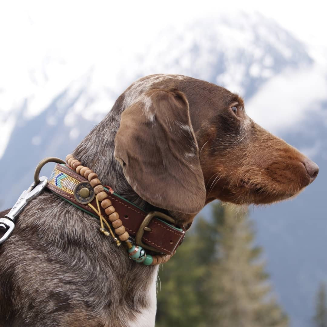 Beads Indi Moon Dog Collar L (Neck Size 38-47 cm / 4 cm)