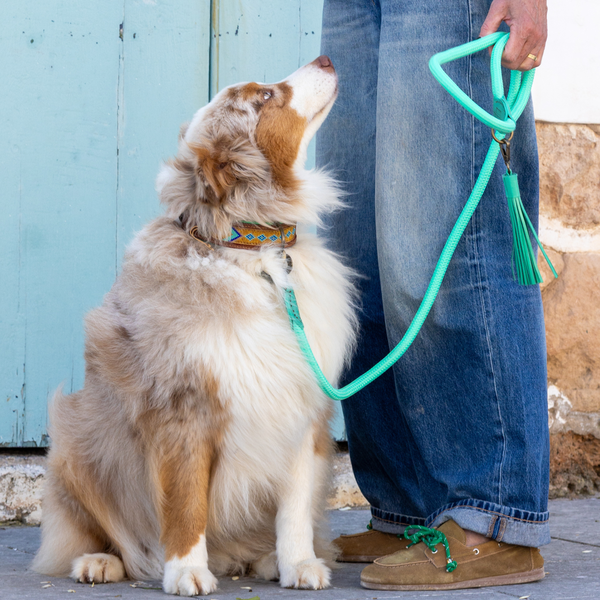 Classic Lagoon Dog Leash L (155 X 1.4 cm)