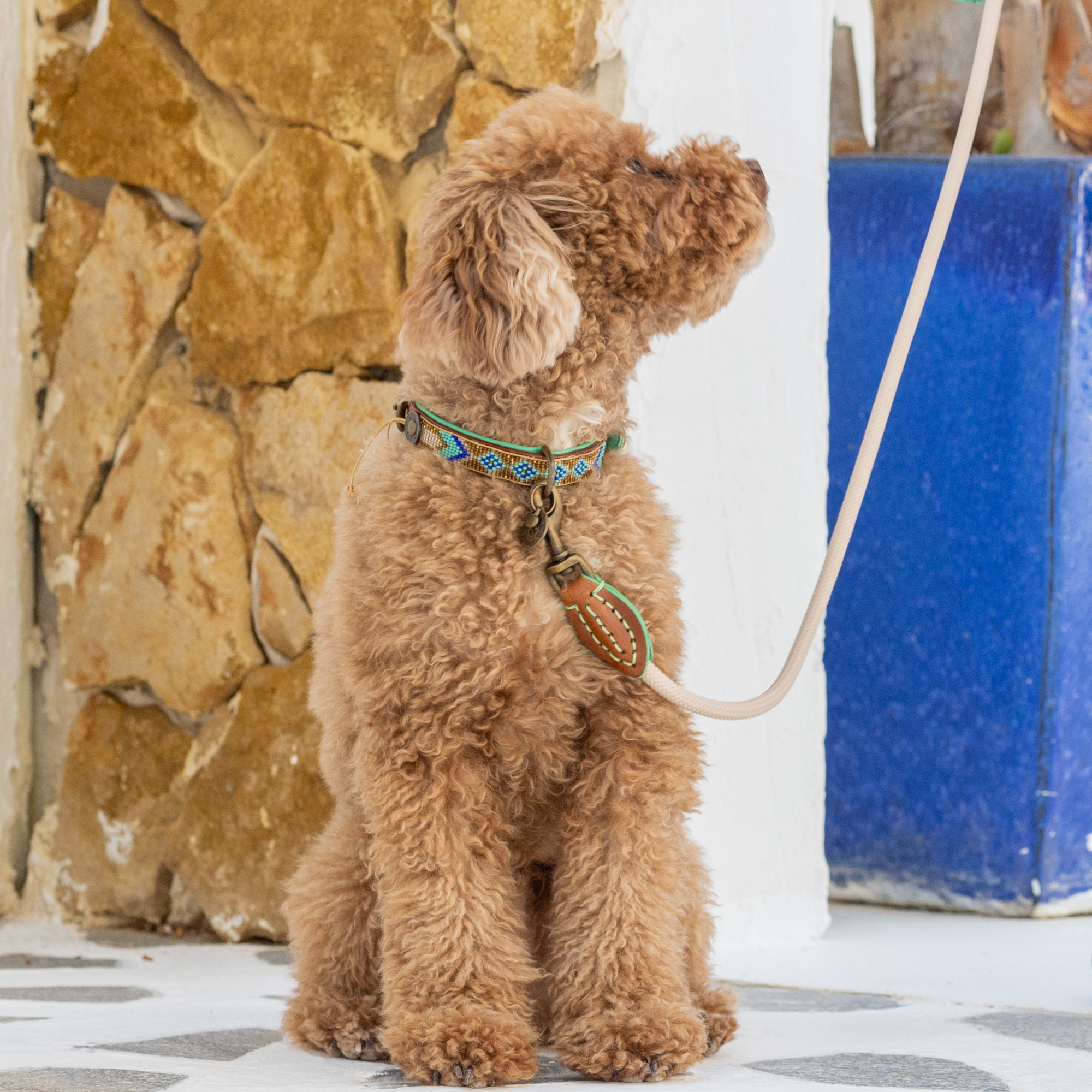 Beads Indi Moon Dog Collar S (Neck Size 30-33 cm / 2 cm)