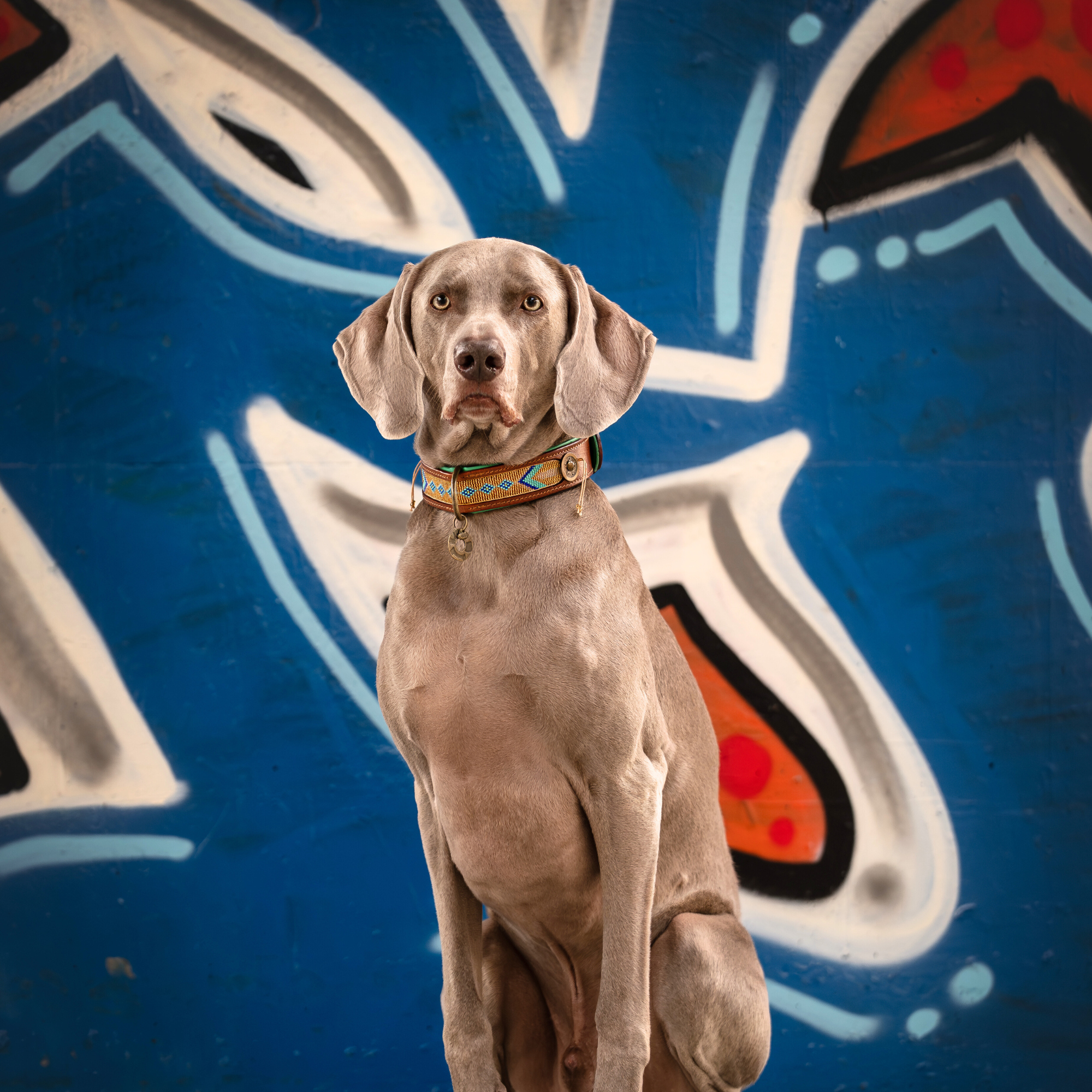 Beads Indi Moon Dog Collar L (Neck Size 38-47 cm / 4 cm)