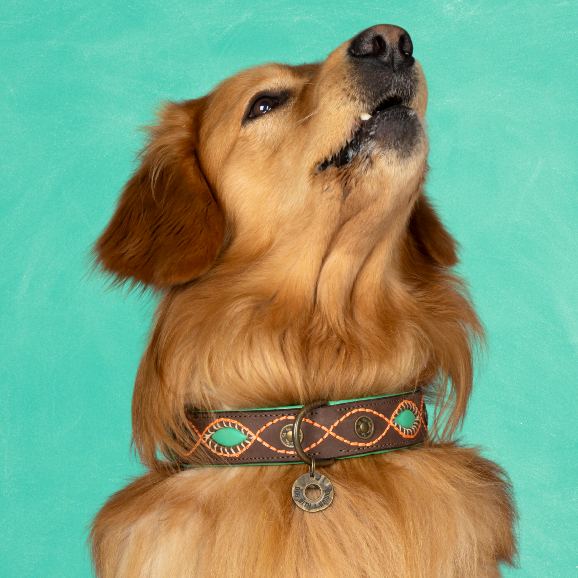 Urban Joplin Hondenhalsband XL (Halsomvang 47-57 cm / 4 cm)