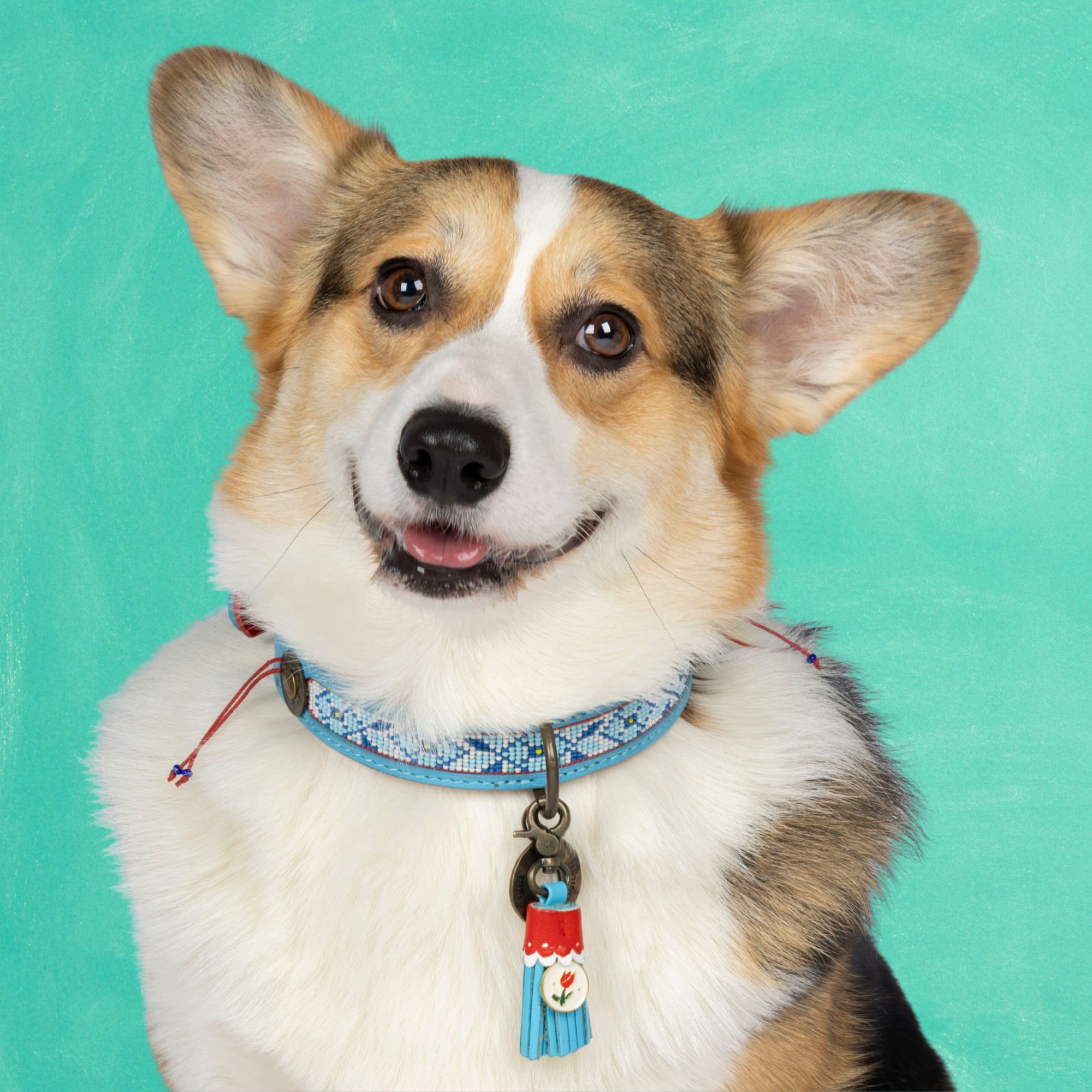 Leren hondenhalsband in blauw met rode kralen en blauw kwastje van Dog with a Mission