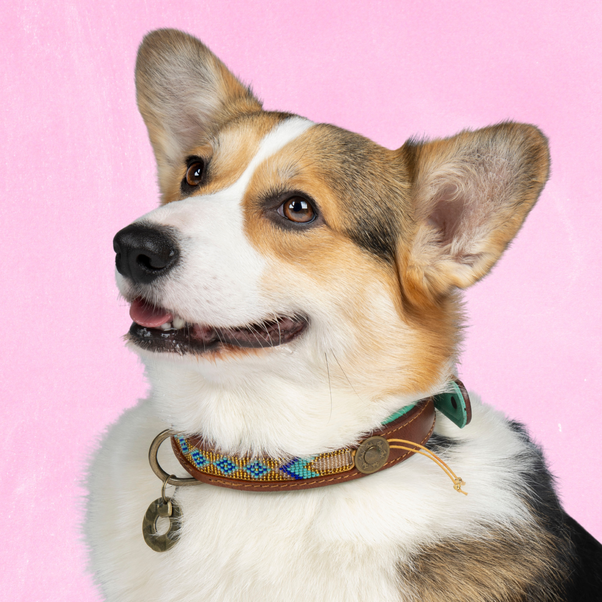 Leren hondenhalsband in goud met bruine en hanger van Dog with a Mission