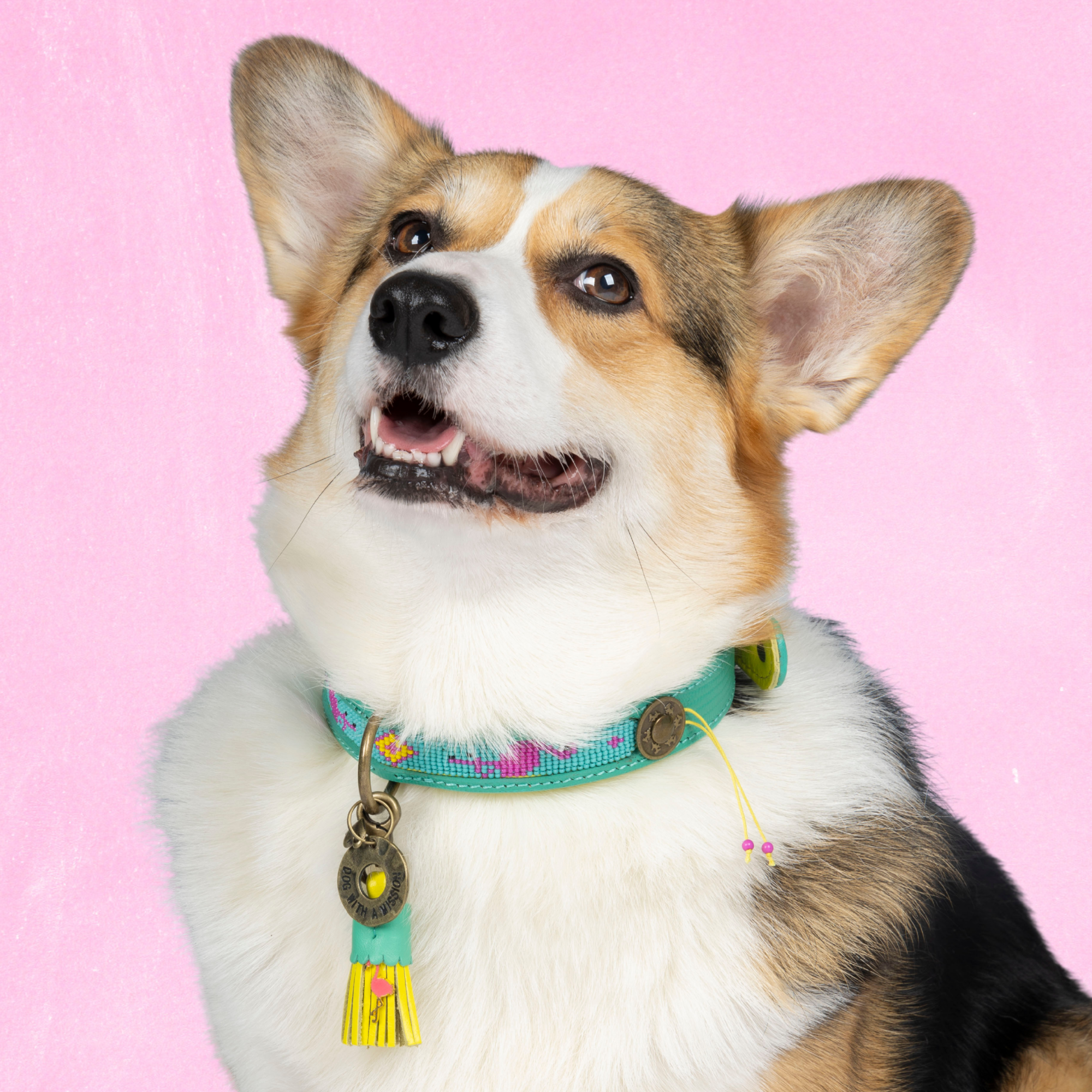 Leren hondenhalsband in turquoise met gele kralen en kwastje van Dog with a Mission