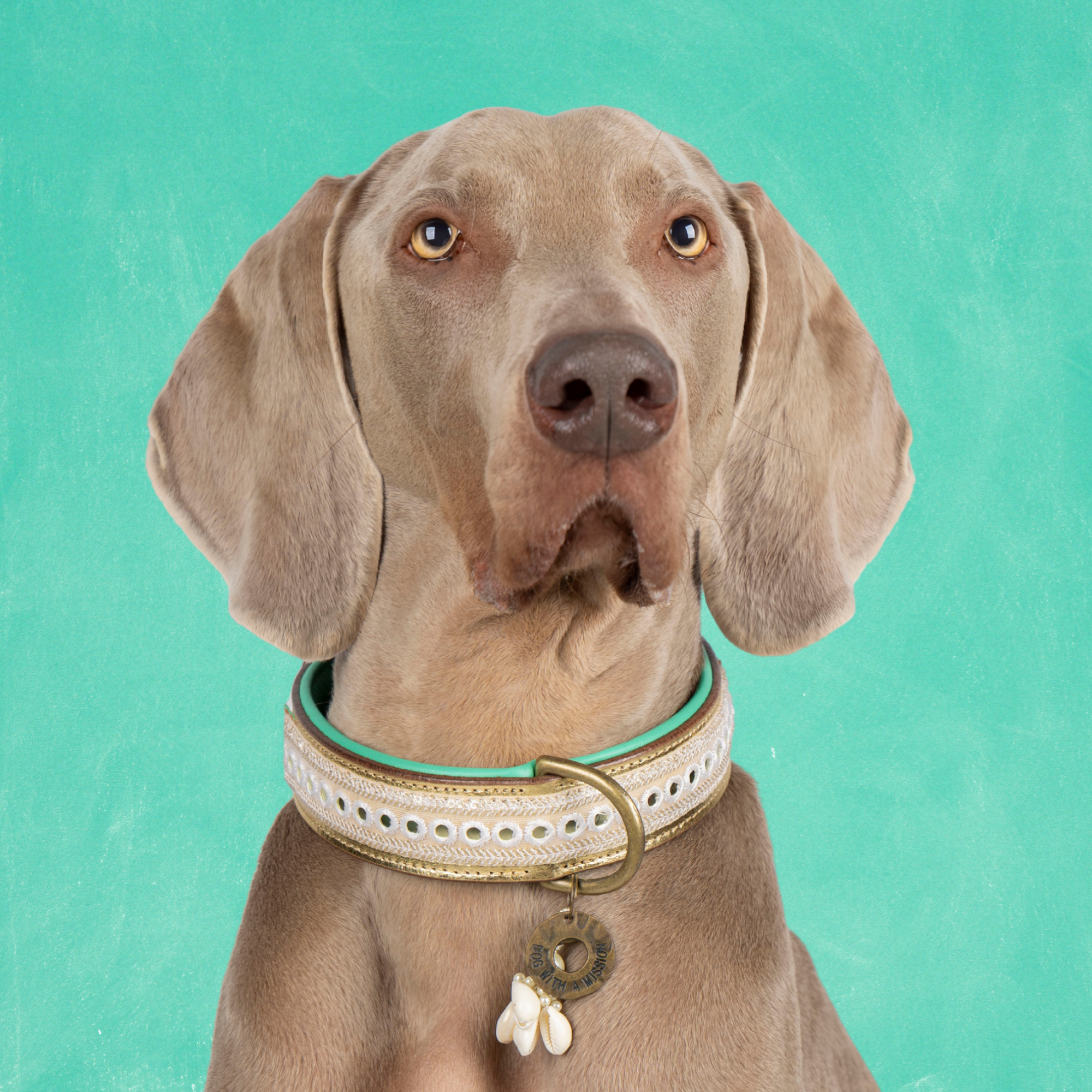 Love Story Hondenhalsband XXL (Halsomvang 55-65 cm / 4 cm)