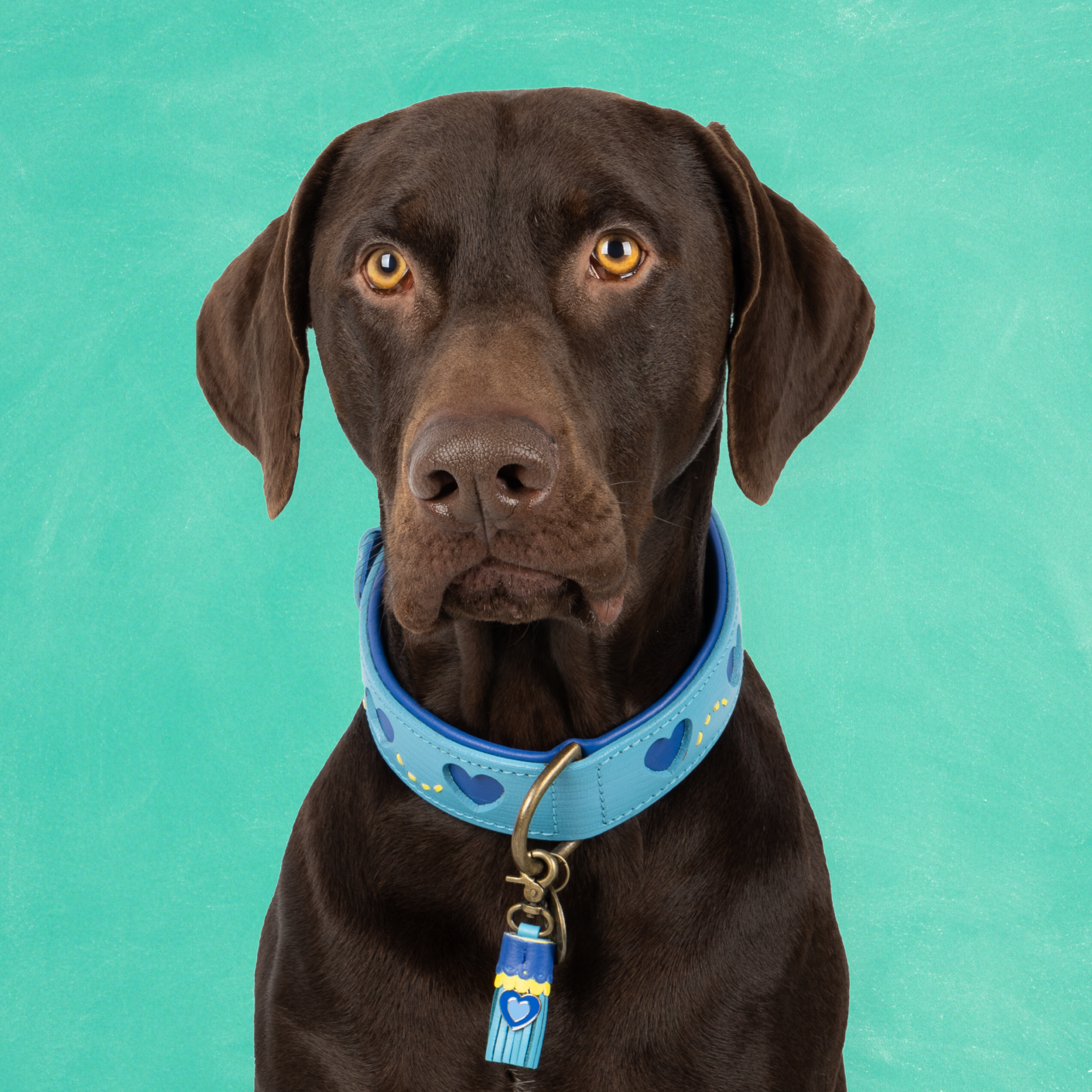 Leather Sky collar blue with hearts