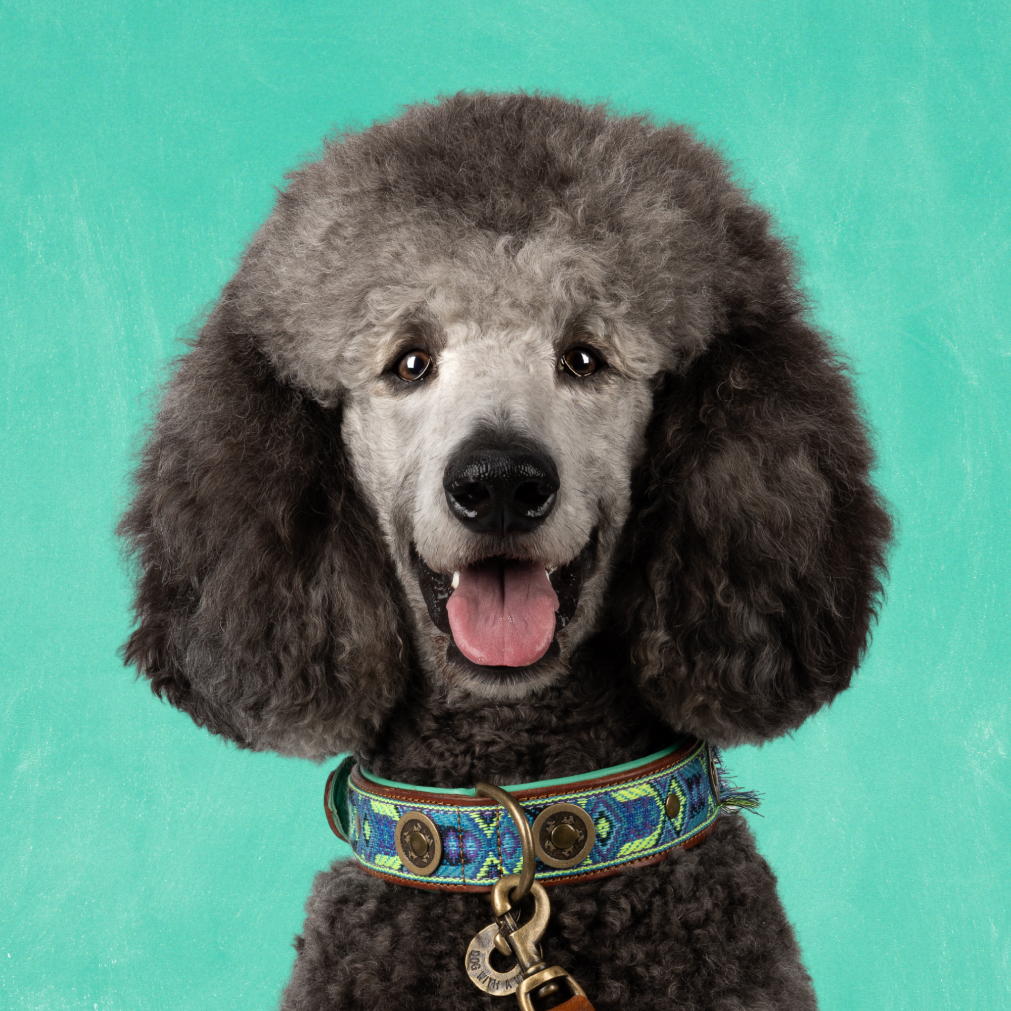 Boho Juan hondenhalsband L 4 cm op grote hond met buffelleer