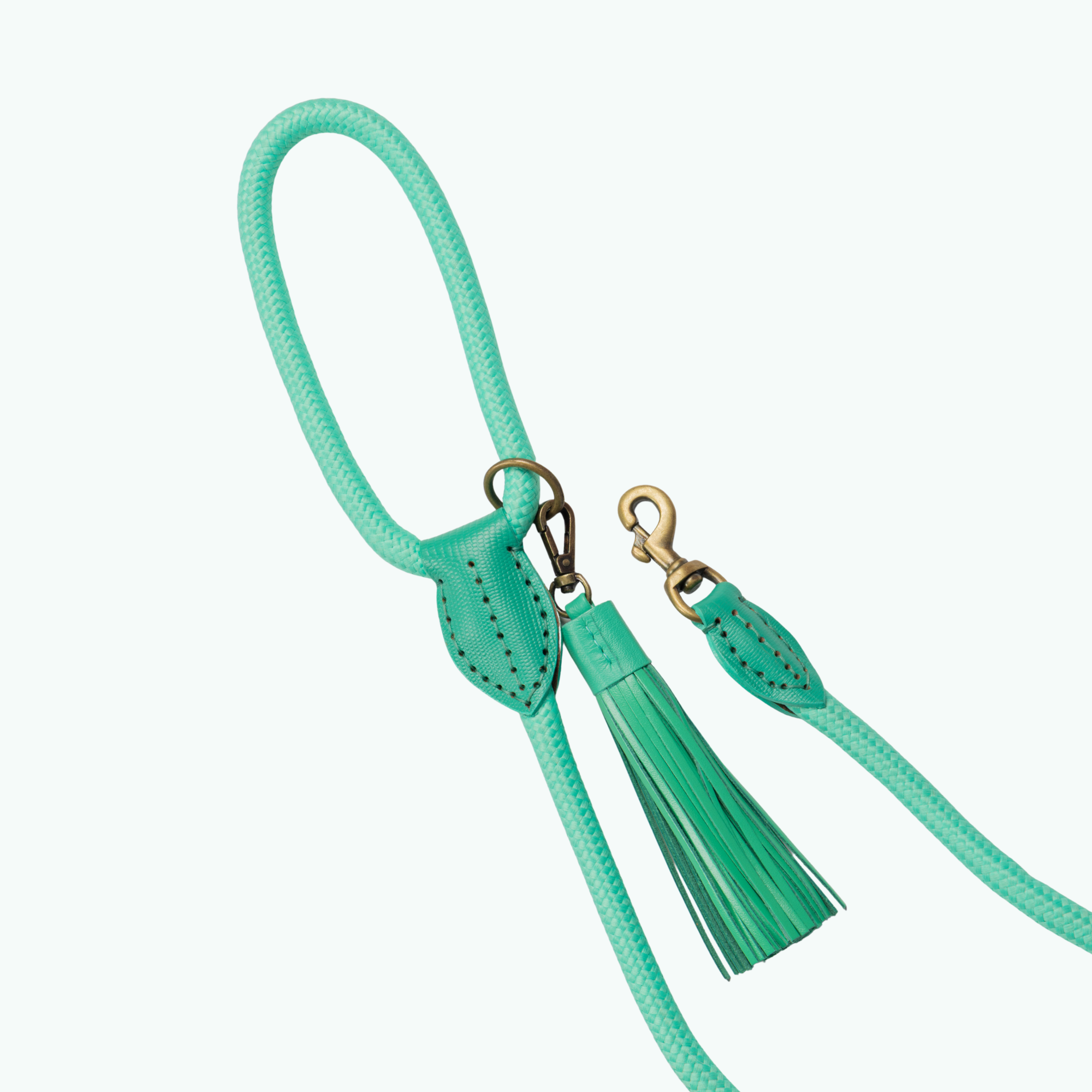Classic Lagoon Hondenriem S (155 X 1 cm)