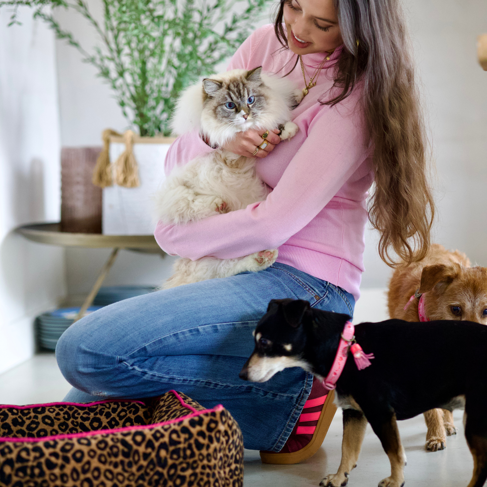 Lazy Leopard Dog Bed M (50x60cm / 65x80cm)