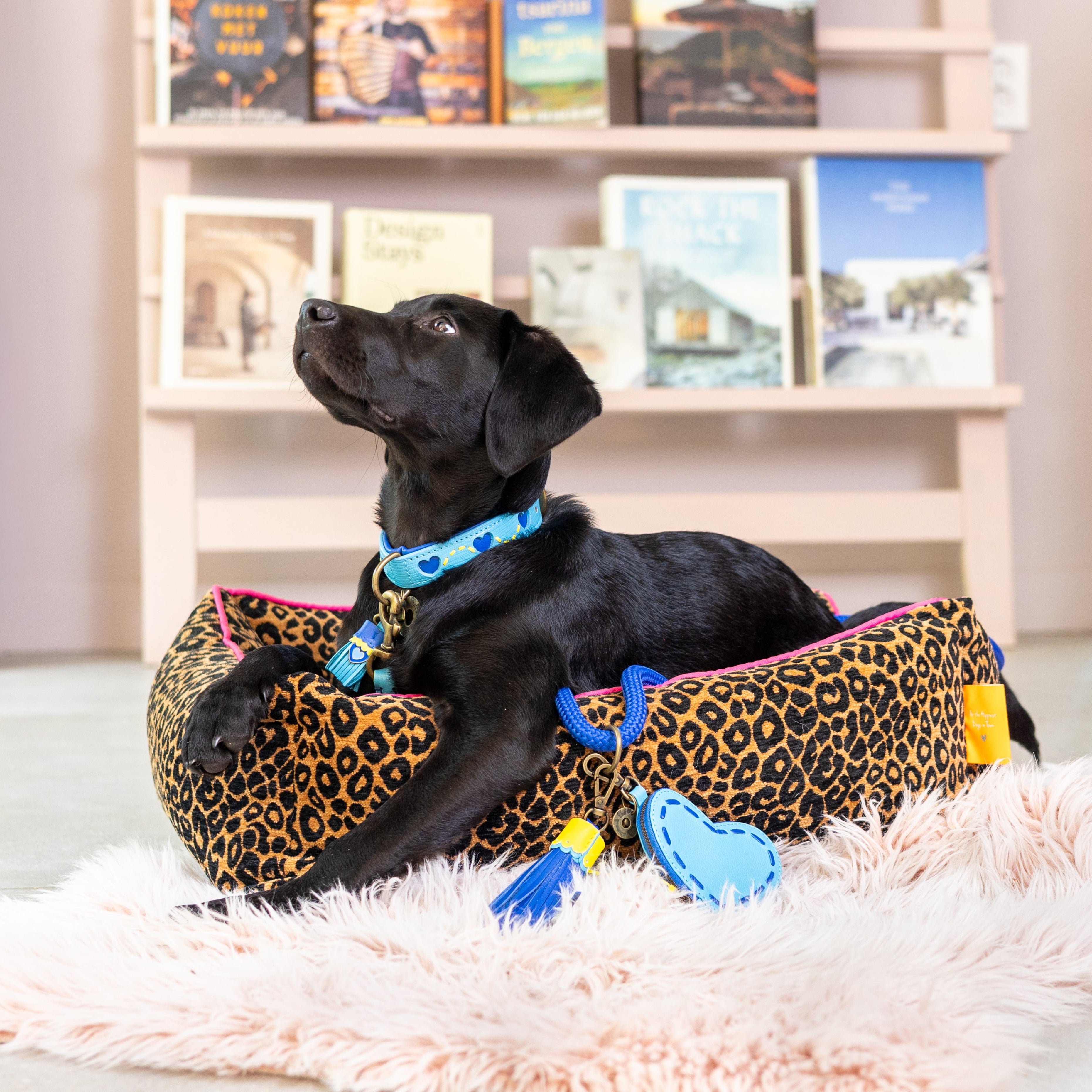 Lazy Leopard Dog Bed S (40x50cm / 55x65cm)