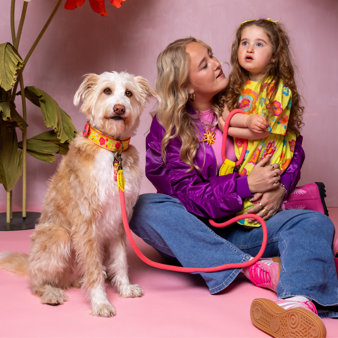 Lotus Hundehalsband L (Halsumfang 38-47 cm / 2,5 cm)