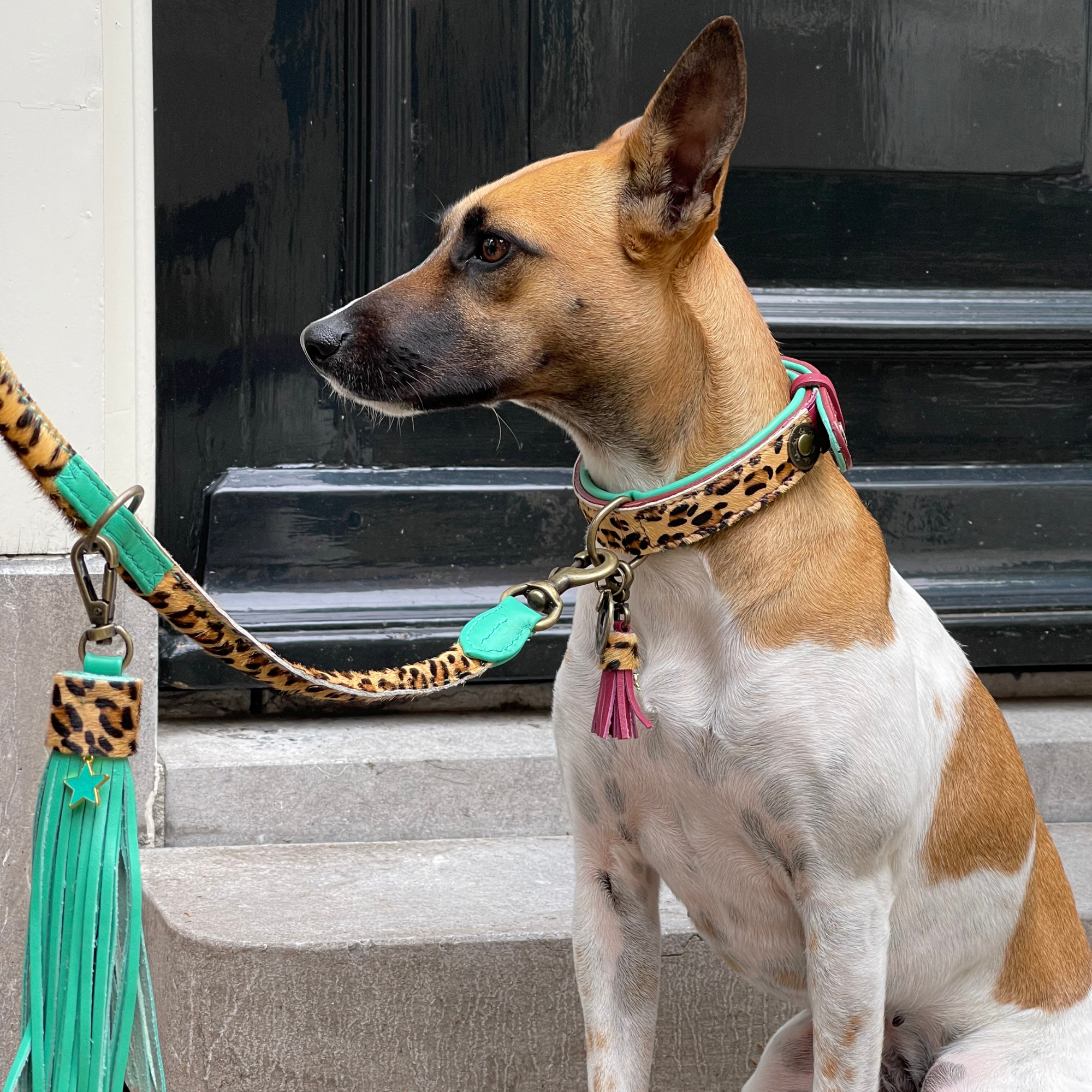 Lou Lou Hundehalsband M (Halsumfang 32-39 cm / 2,5 cm)