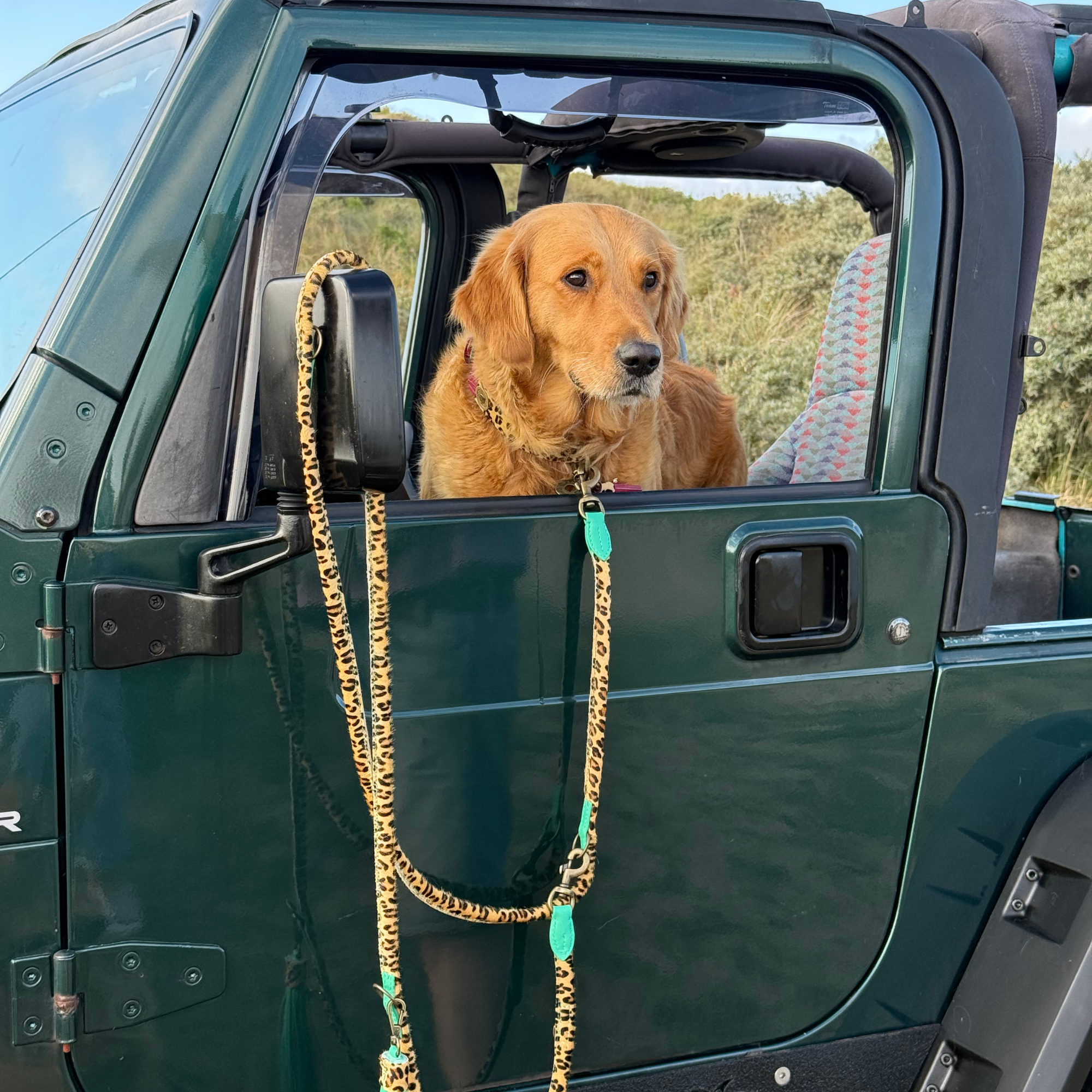 Lou Lou Hundehalsband M (Halsumfang 32-39 cm / 2,5 cm)