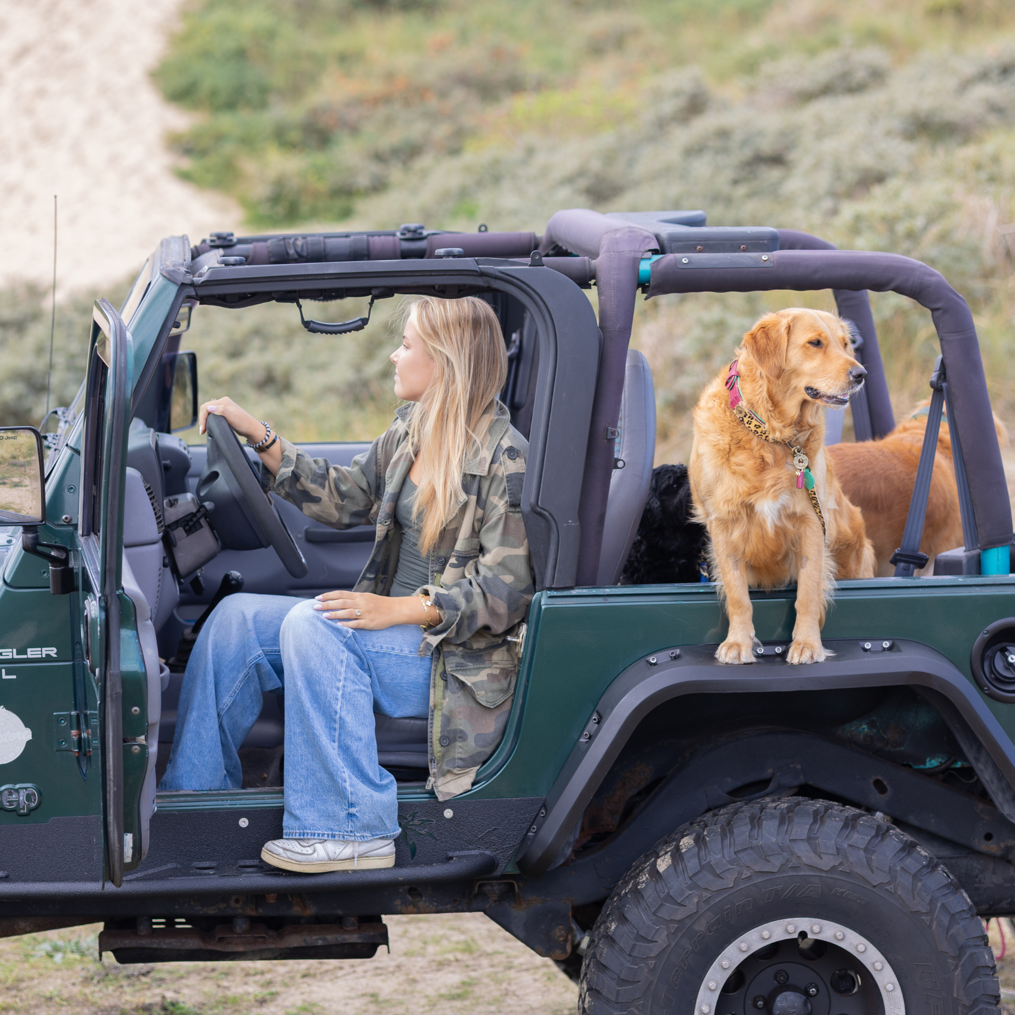 Lou Lou Hondenhalsband XL (Halsomvang 48-57 cm / 4 cm)