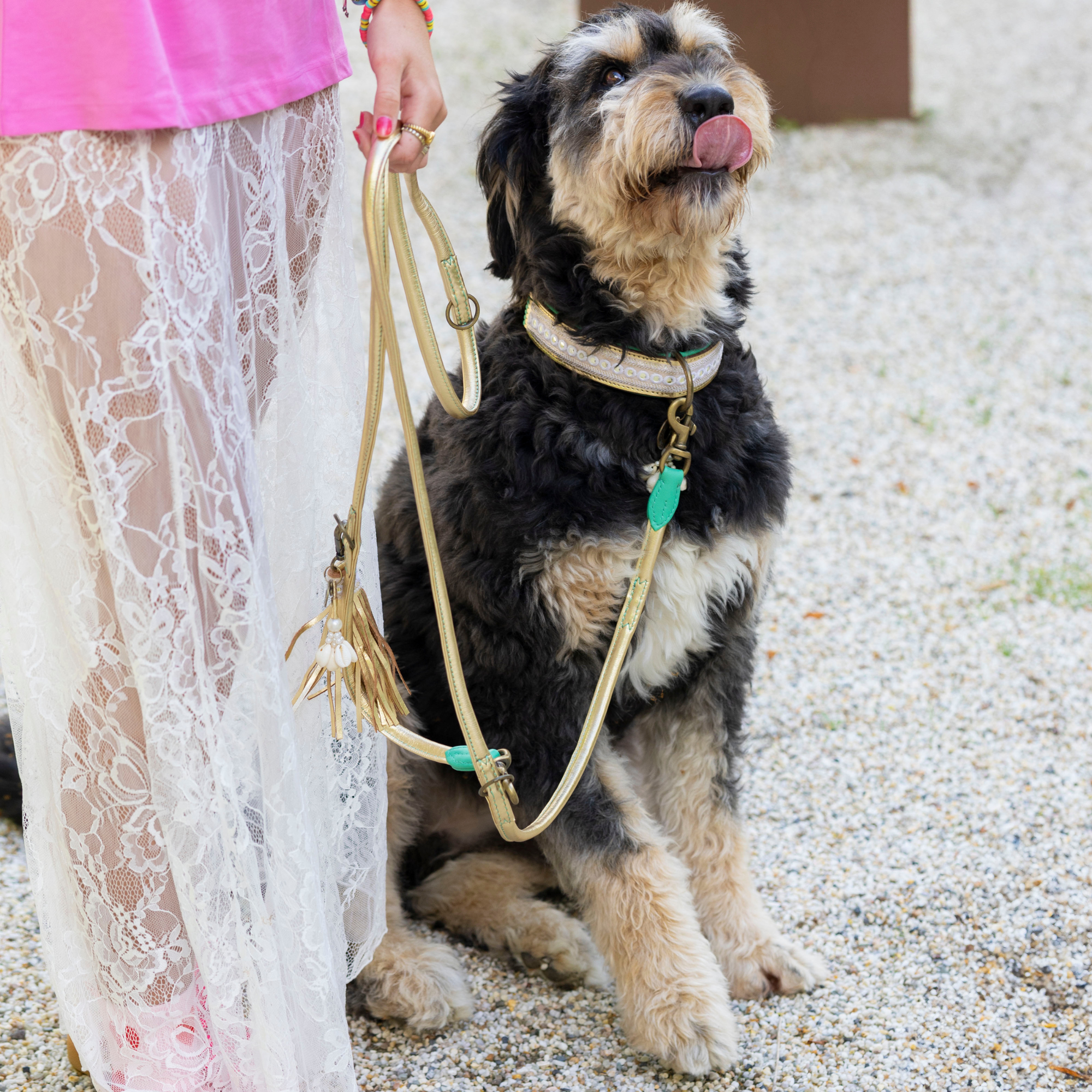 Love Story Hundehalsband L (Halsumfang 40-47 cm / 2,5 cm)