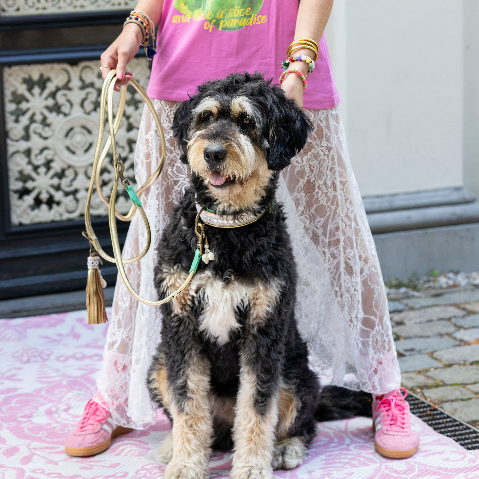 Love Story Hundehalsband L (Halsumfang 40-47 cm / 2,5 cm)