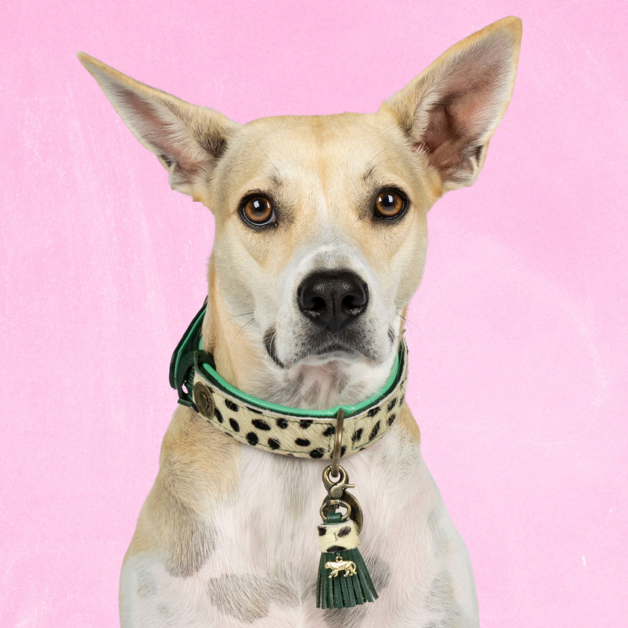 Leren hondenhalsband in groen met dierenprint en groen kwastje van Dog with a Mission