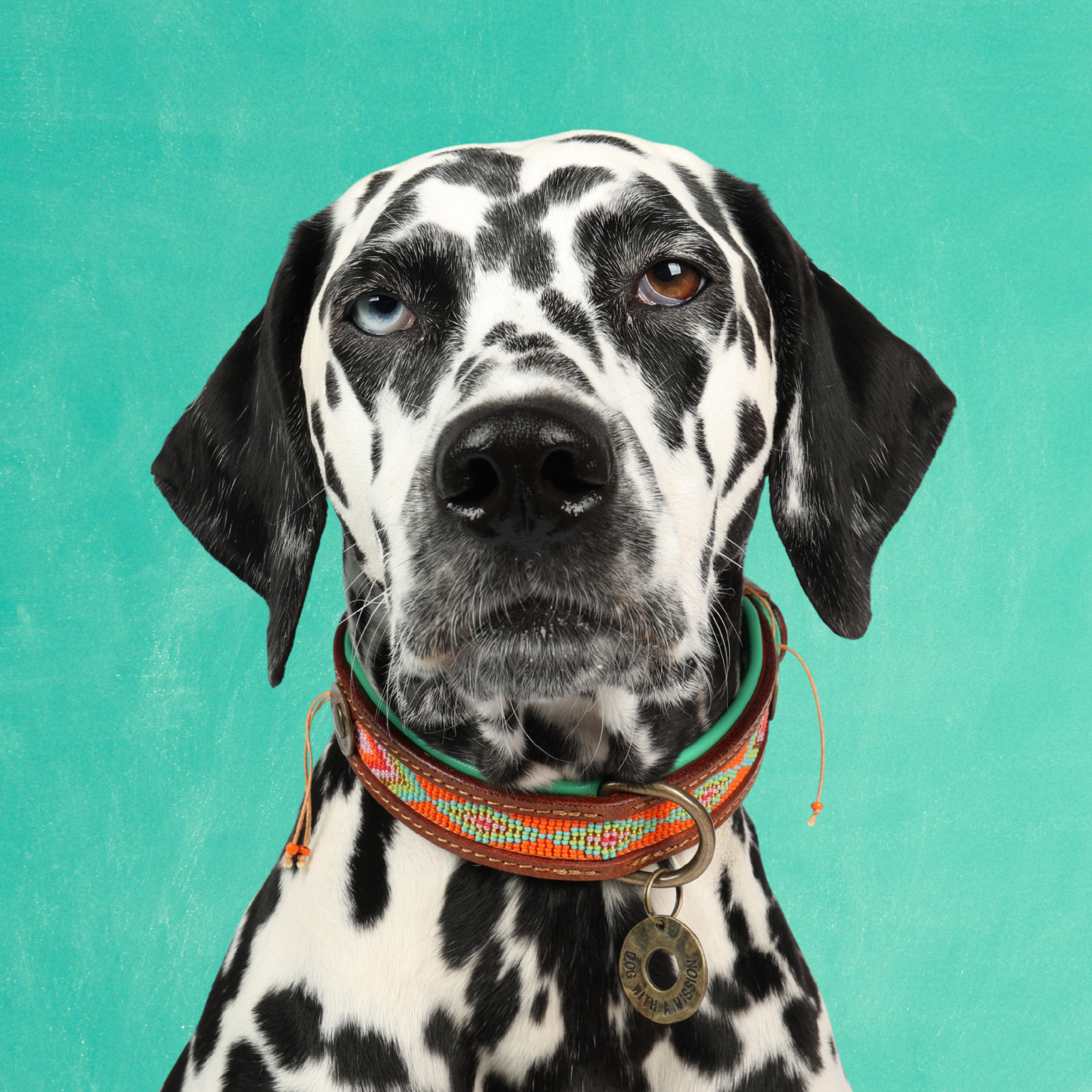 Beads Tiger Lily hondenhalsband L 2,5 cm oranje geel kralen leer Dog with a Mission DWAM