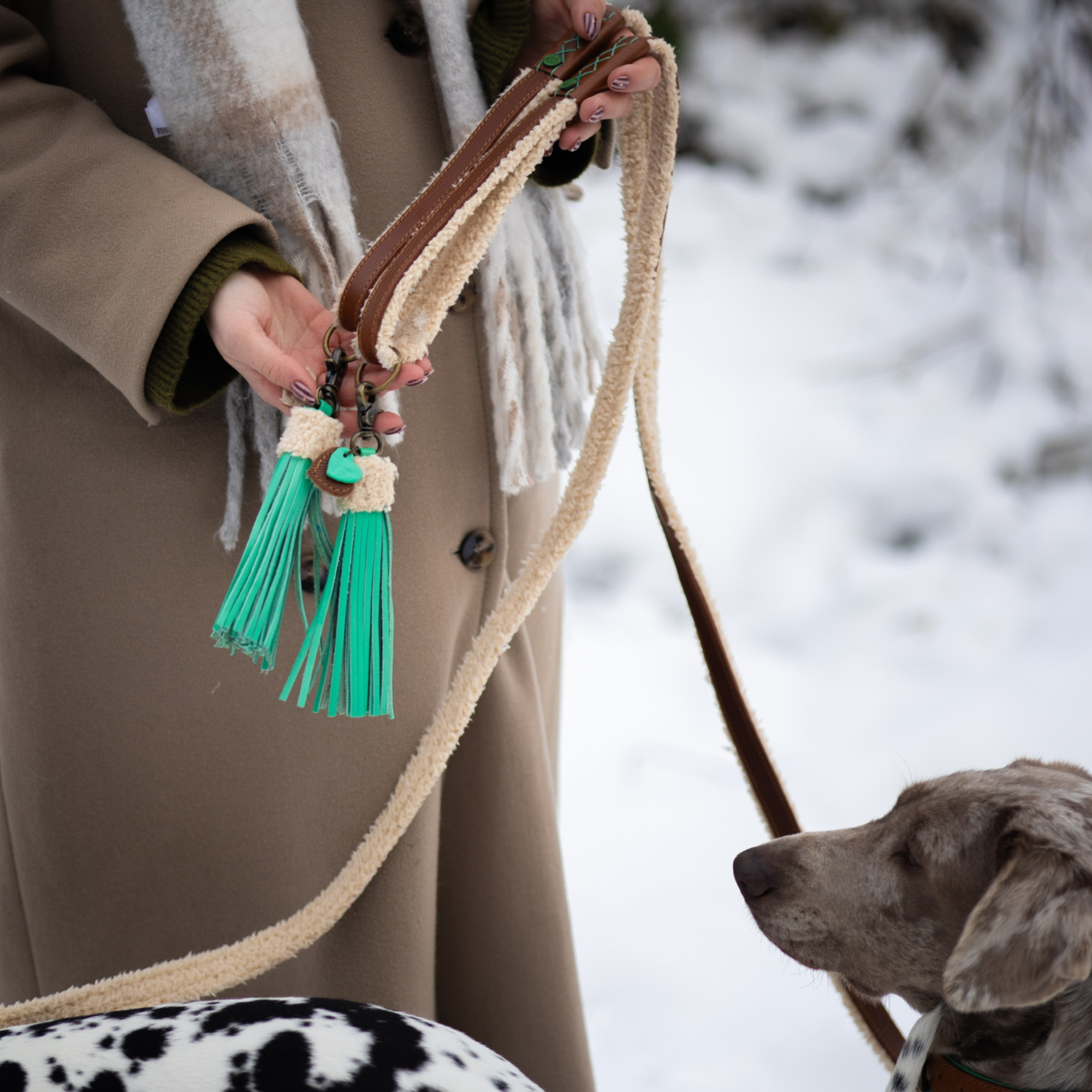 Teddy Hundeleine L (135 cm X 2,5 cm)