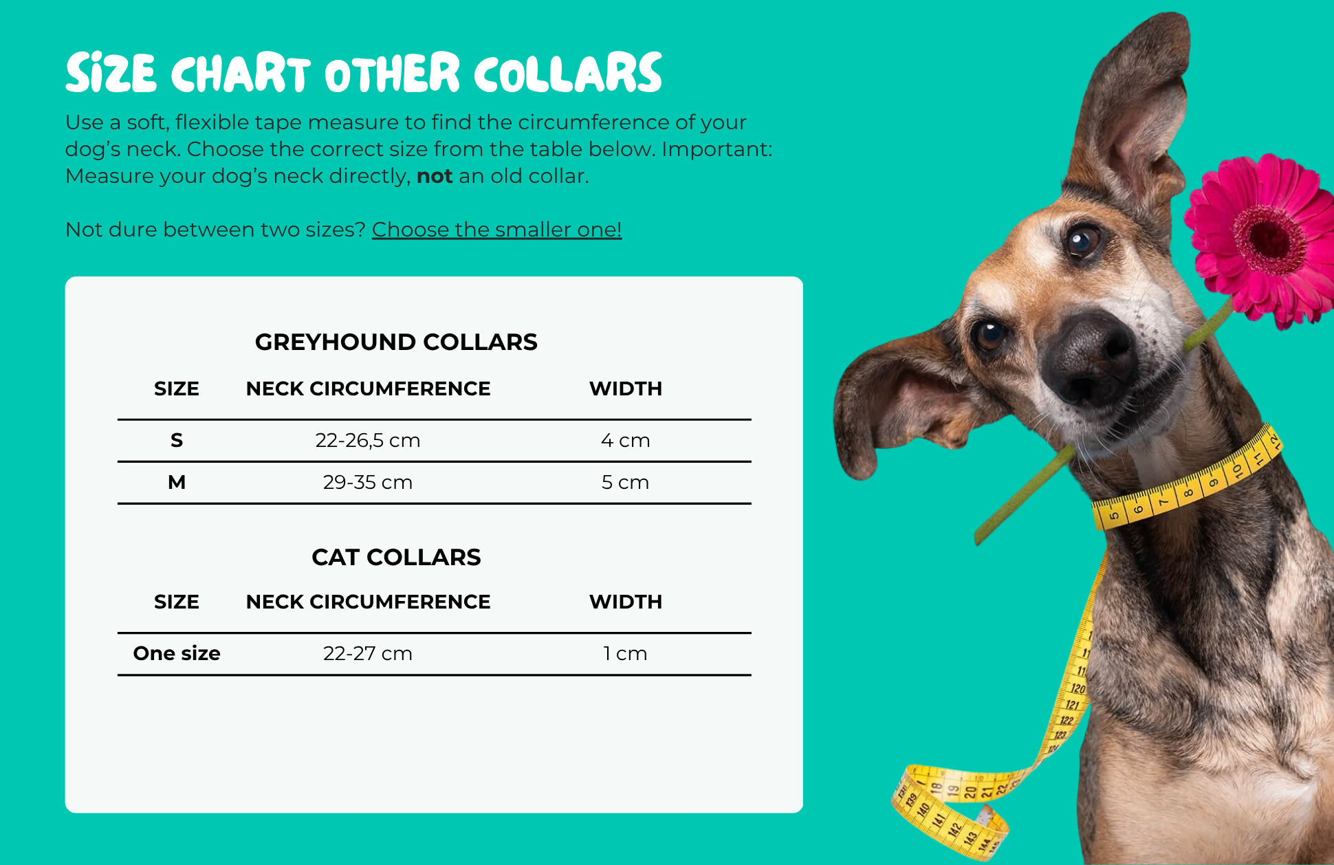 Jones Windhond Halsband S (Breedte 4 cm / Halsomvang 22 cm - 26,5 cm)