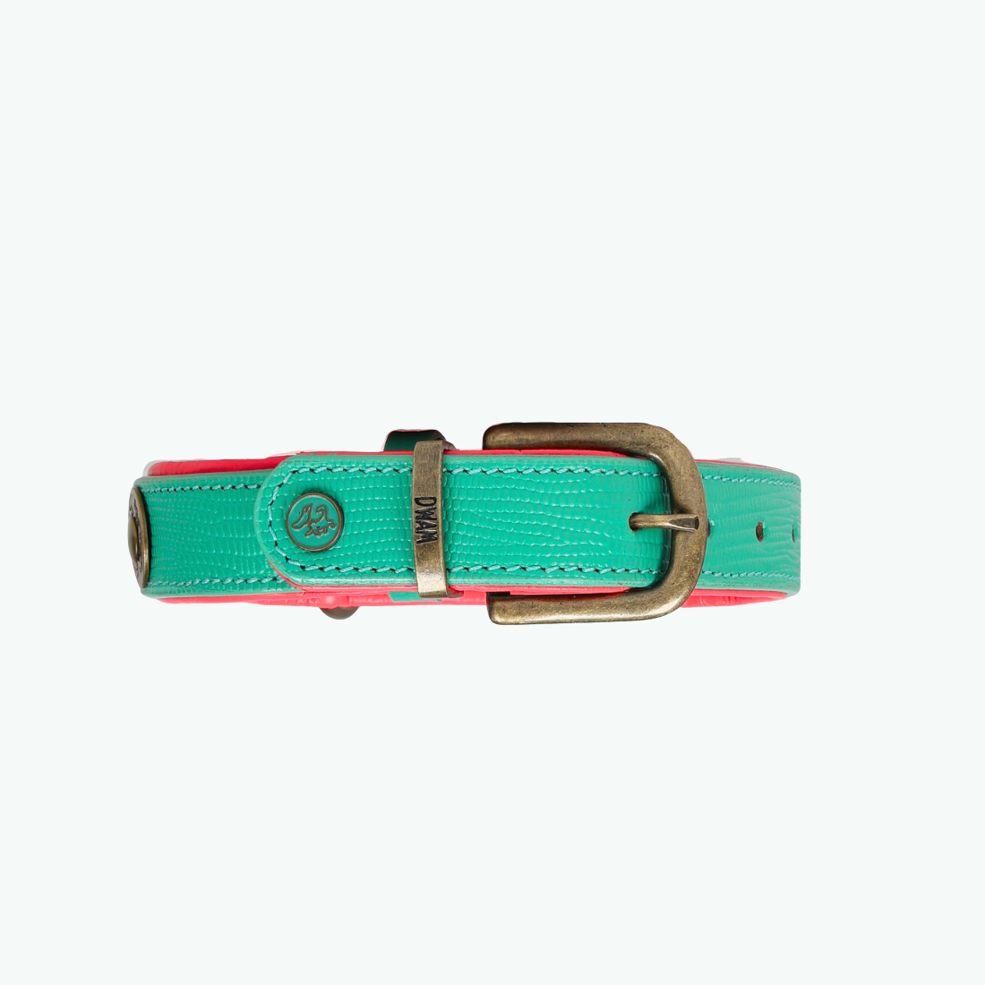 Achterkant van de Maui hondenhalsband 2,5 cm breed met D-ring en messing hardware in turquoise buffelleer – Dog with a Mission