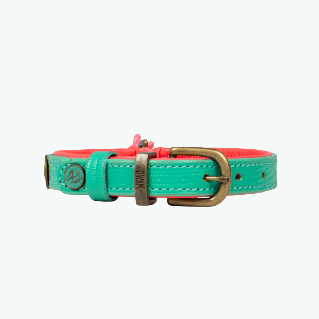 Achterkant van de Maui hondenhalsband 2 cm breed met D-ring en messing hardware in turquoise buffelleer – Dog with a Mission