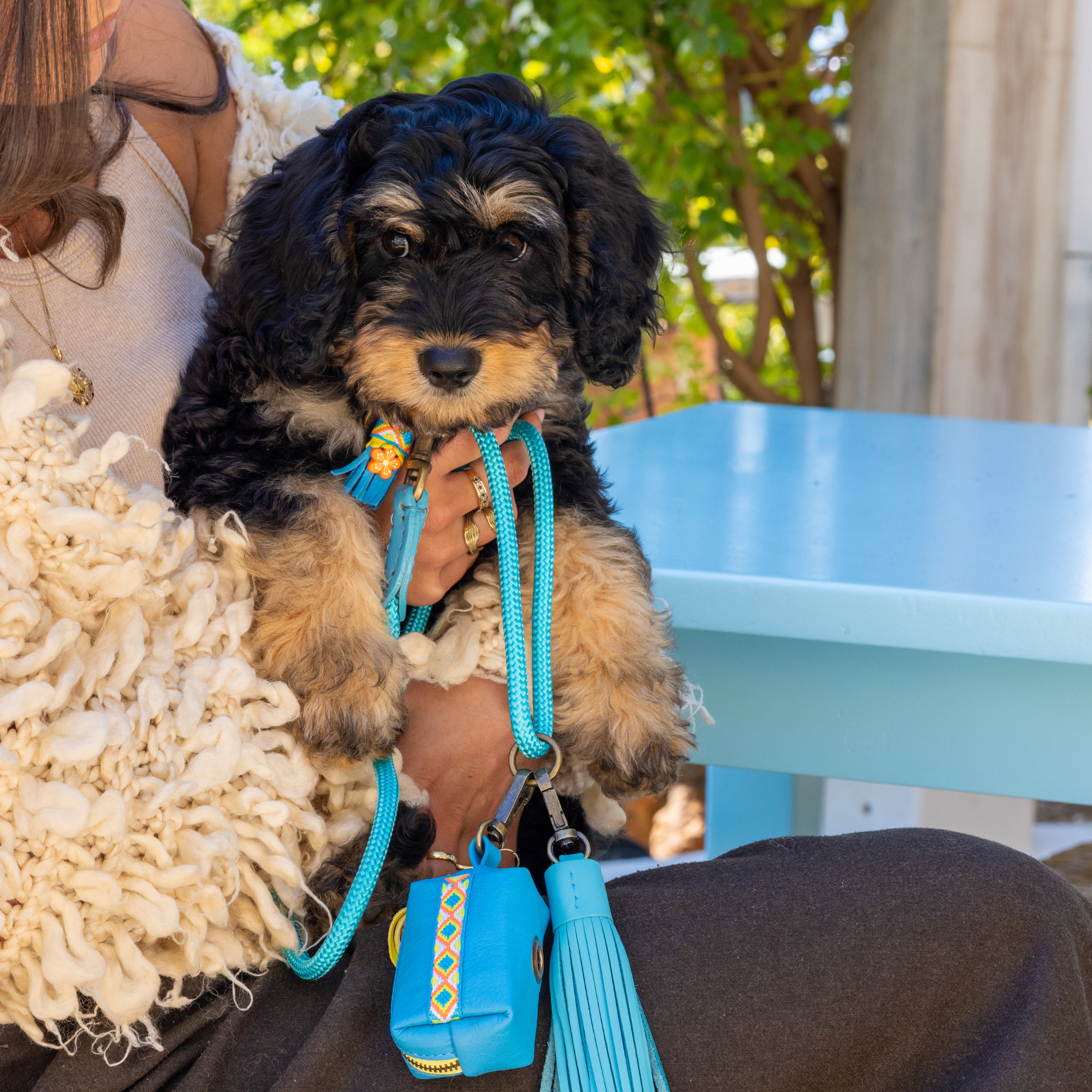 Classic Pacific Dog Leash S (155 cm X 1 cm)